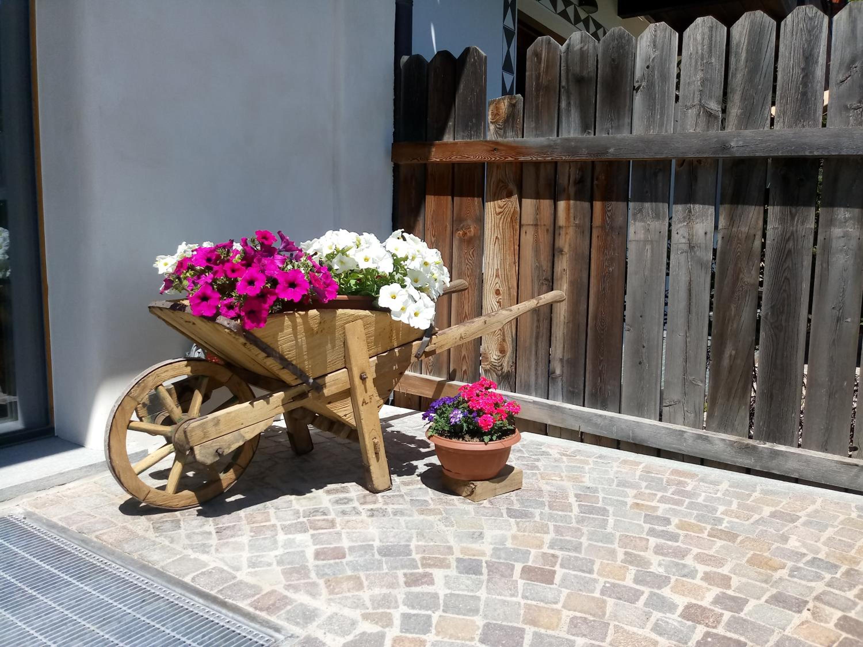 Photo 44