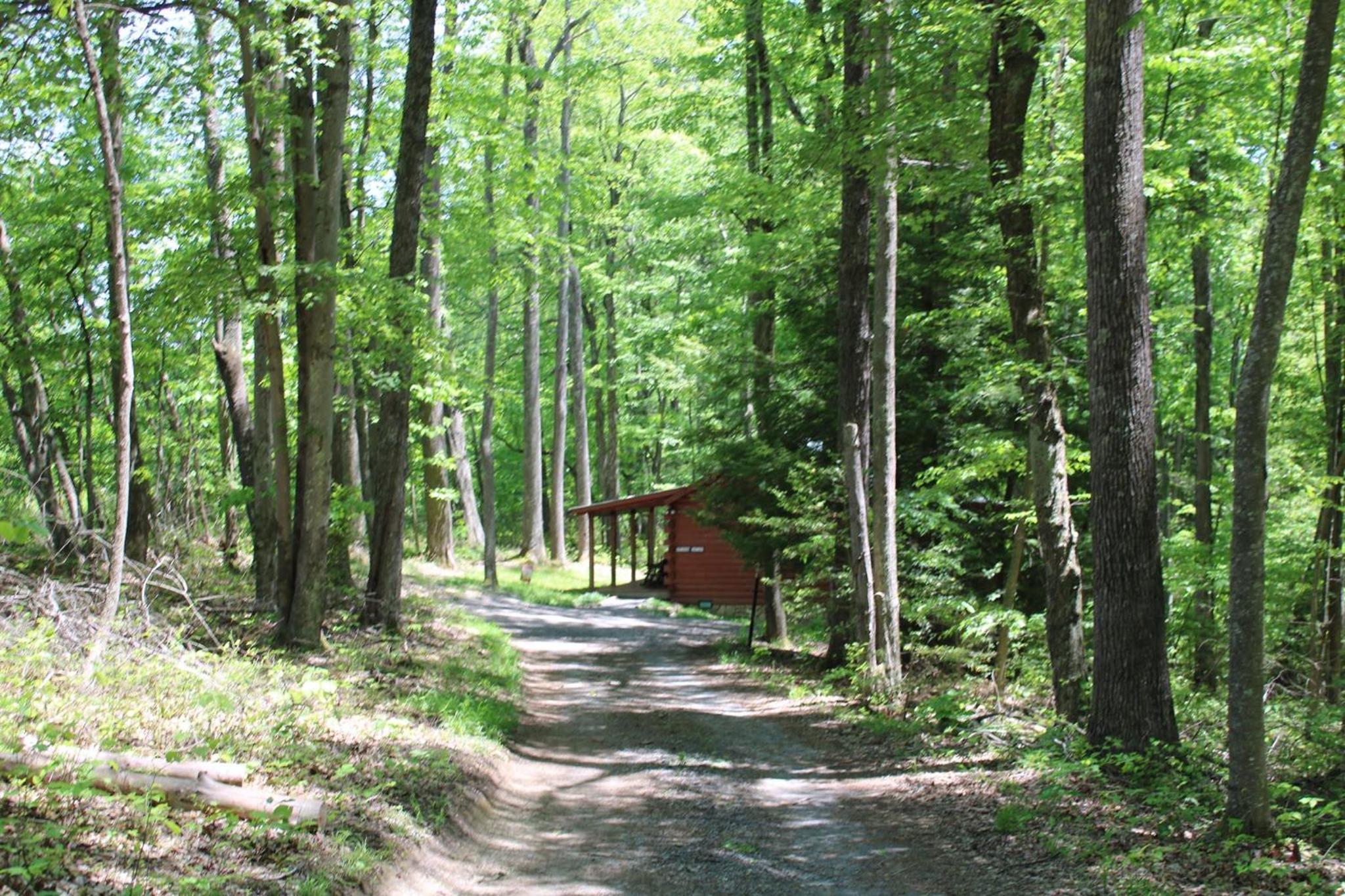 Country Road Cabins