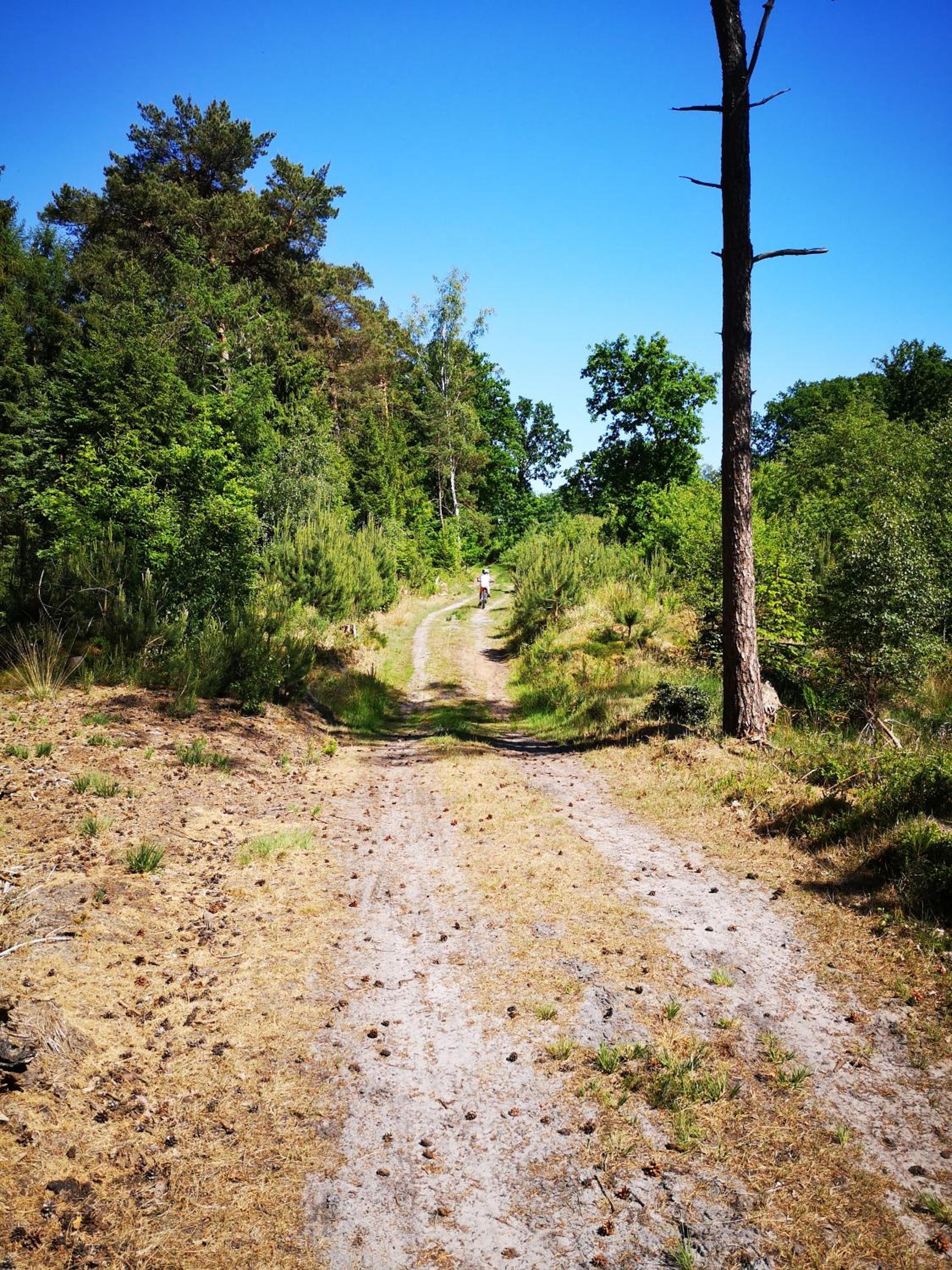 Photo 6