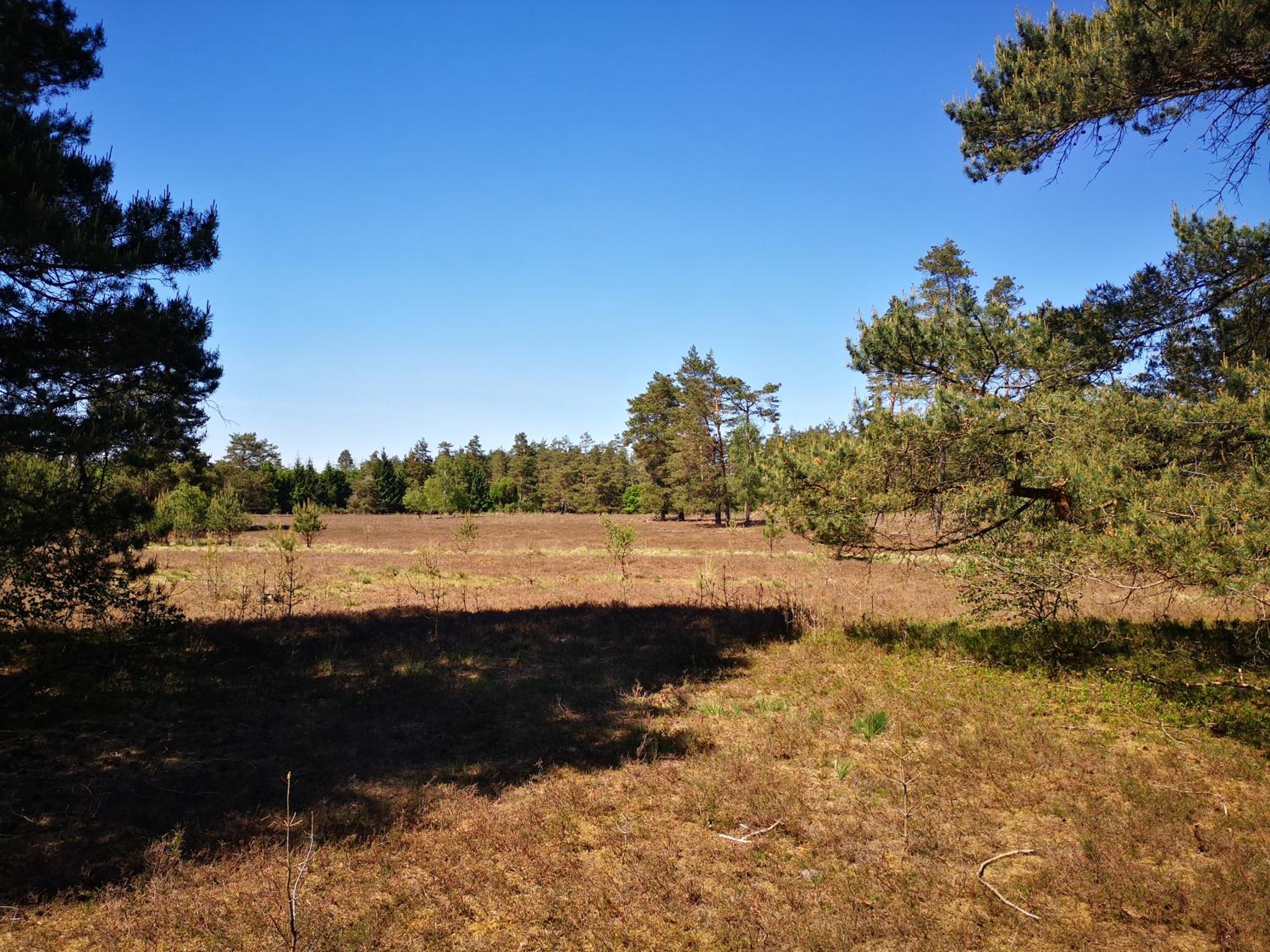 Lüttje Heide-Huus view 5