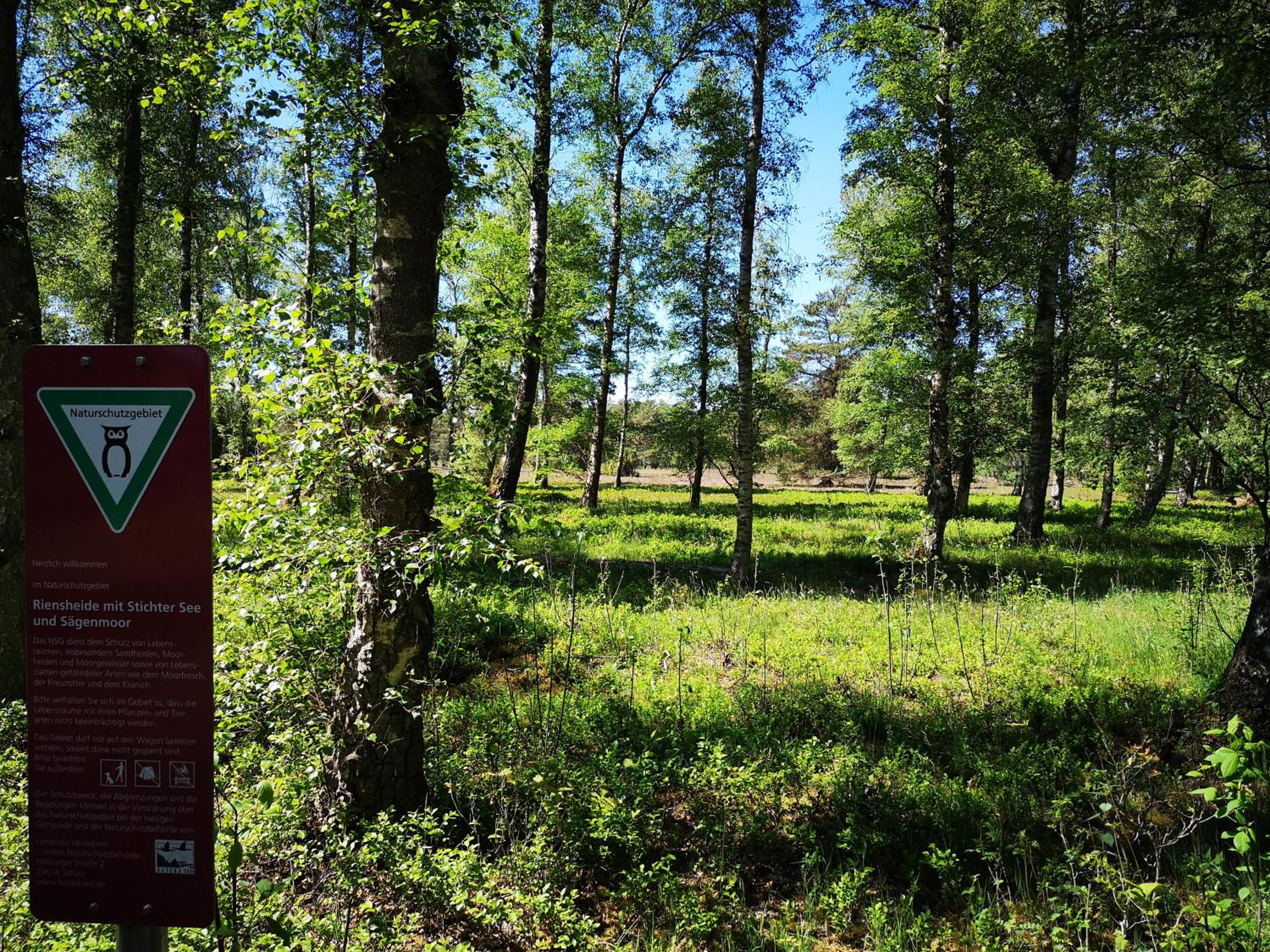 Lüttje Heide-Huus view 4