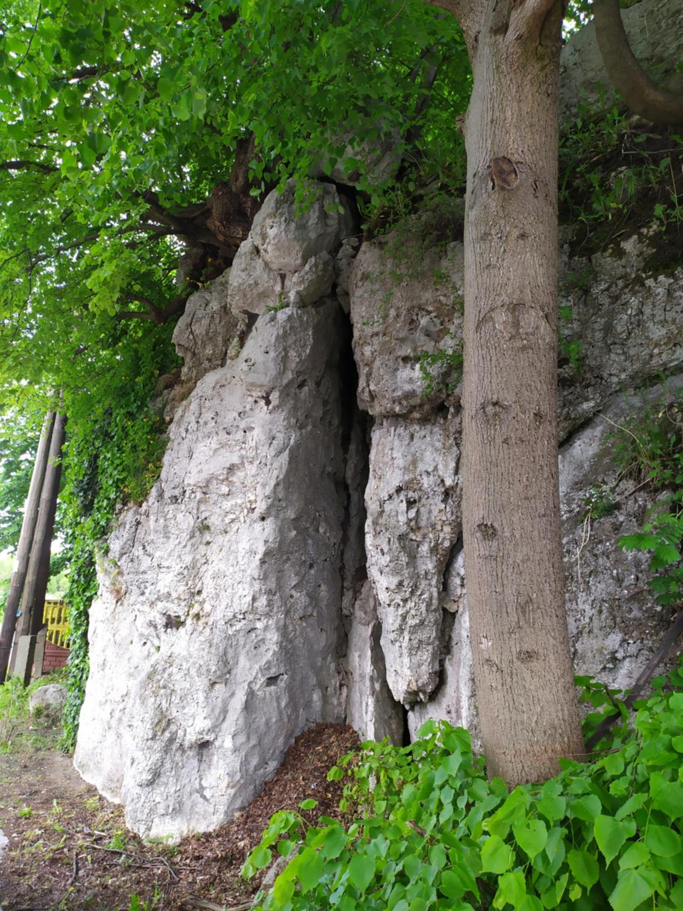 Photo 7