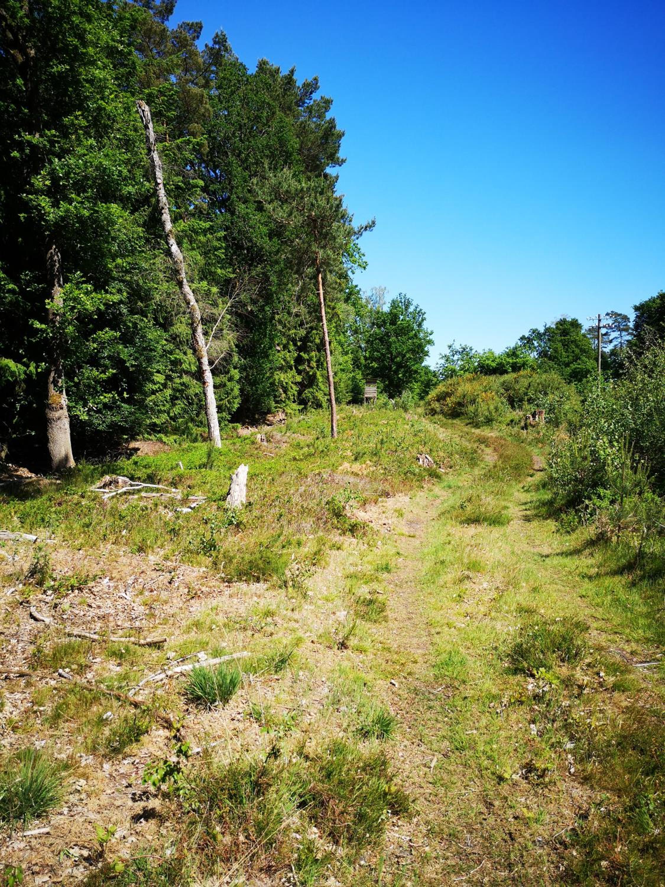 Lüttje Heide-Huus view 2