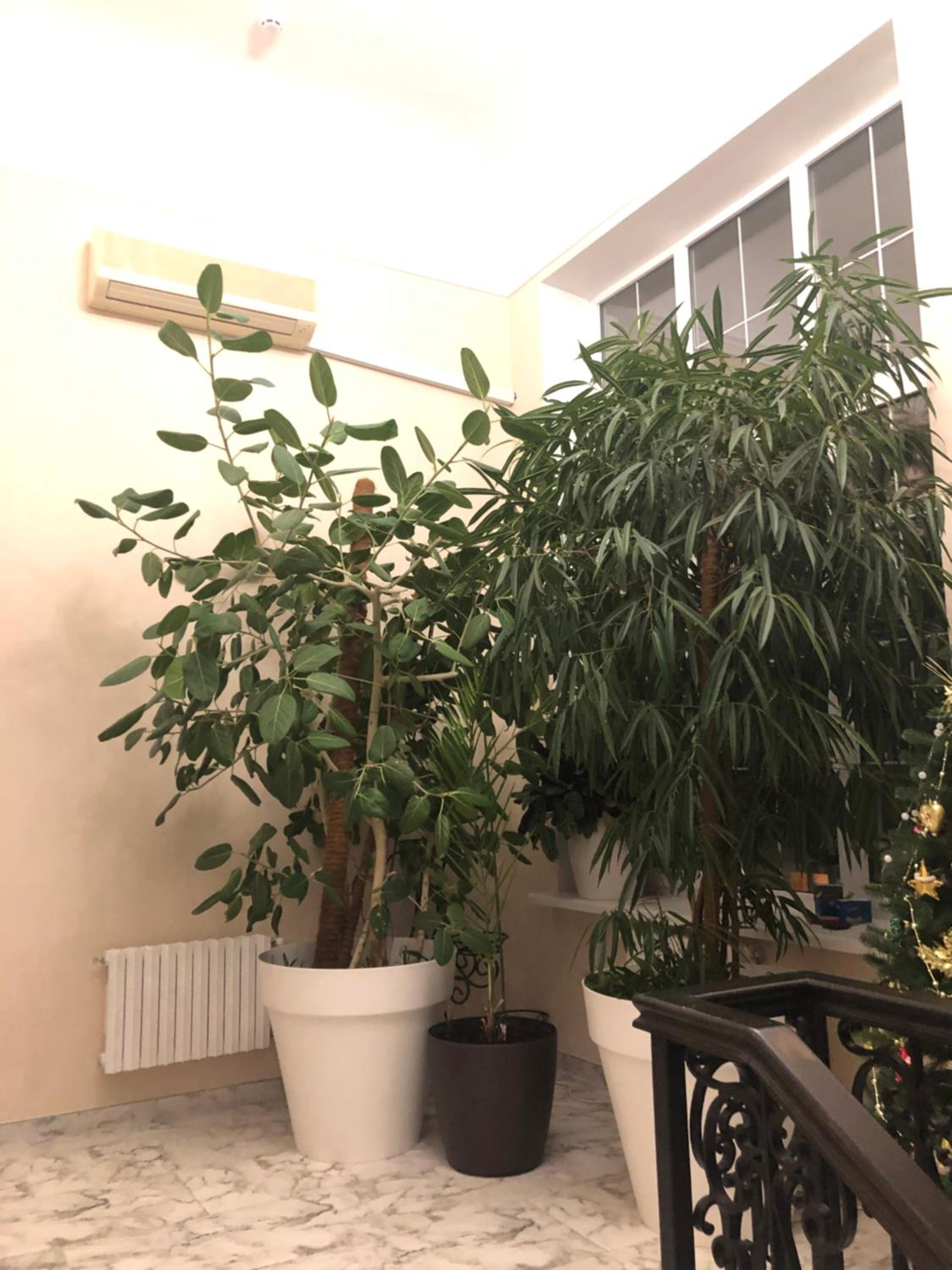 Photo 48