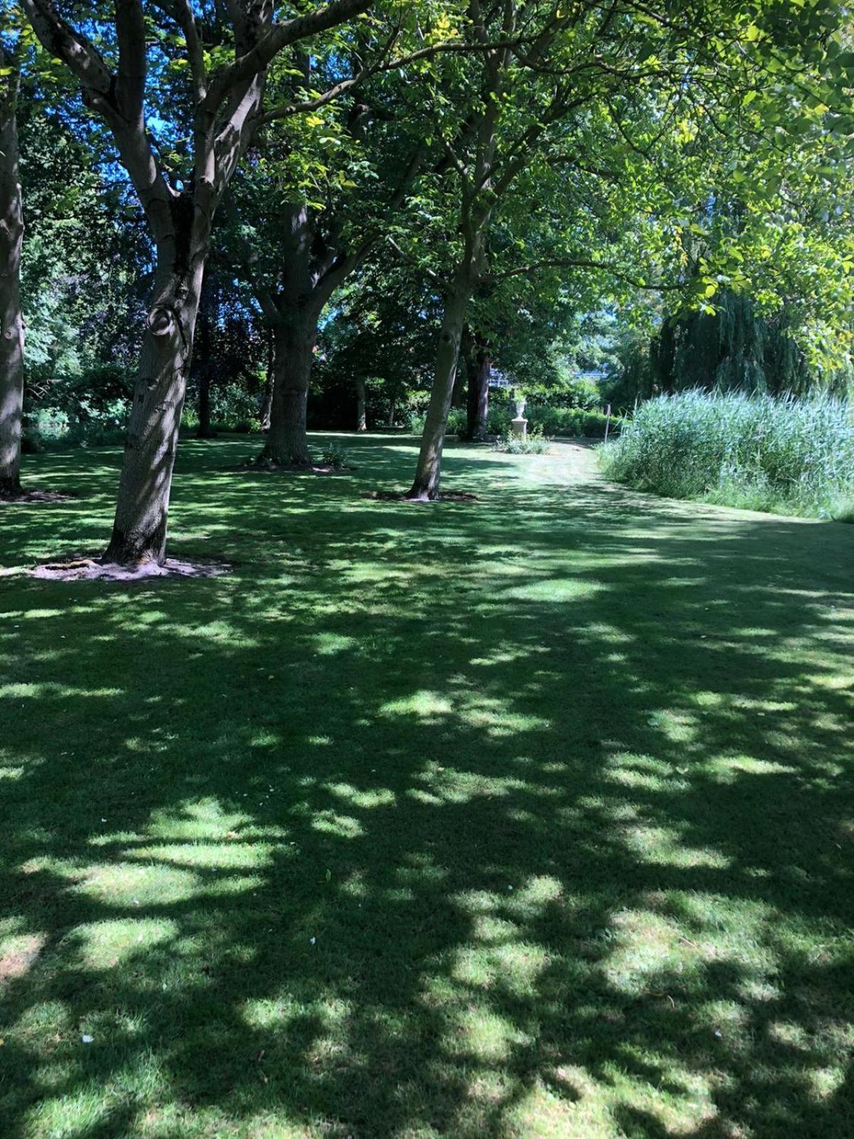 Photo 44