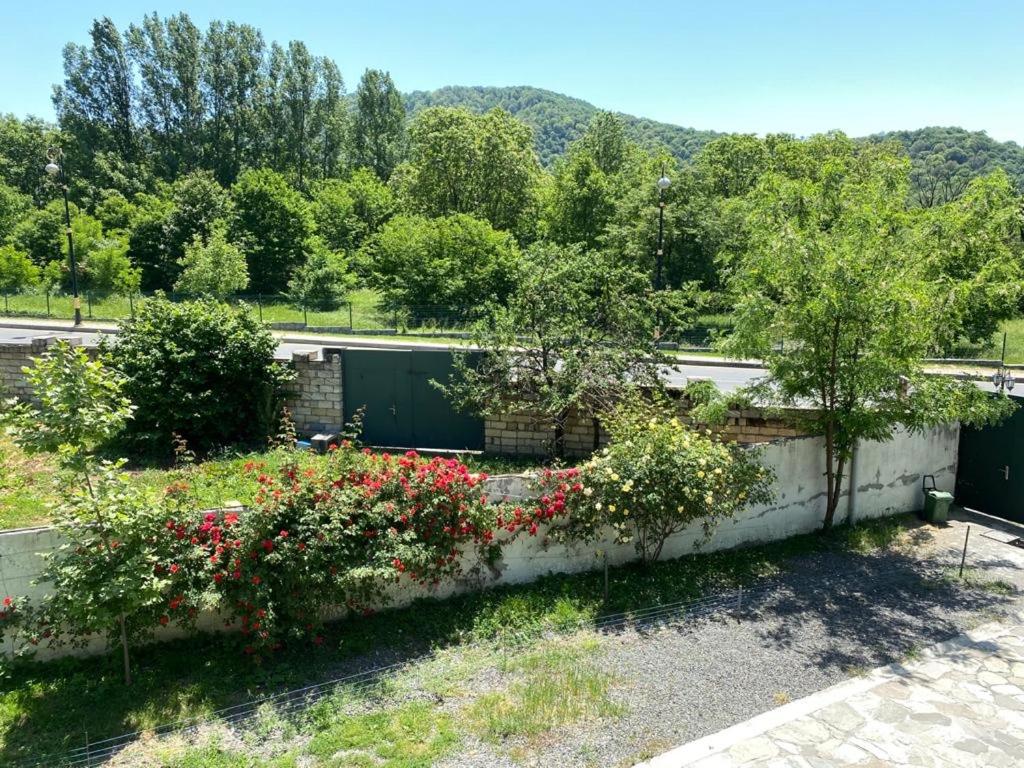 Apartments Firuze