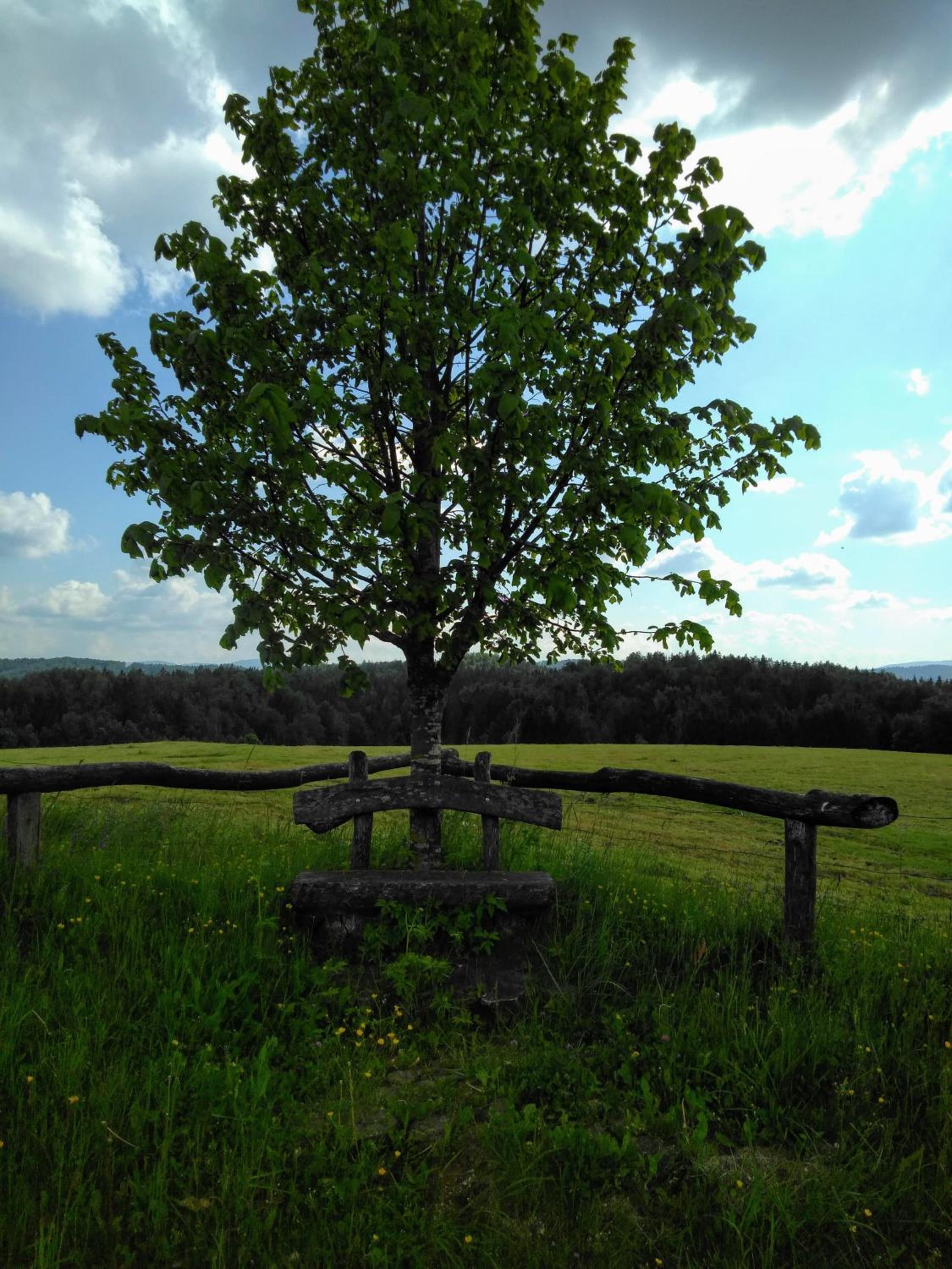 Photo 46