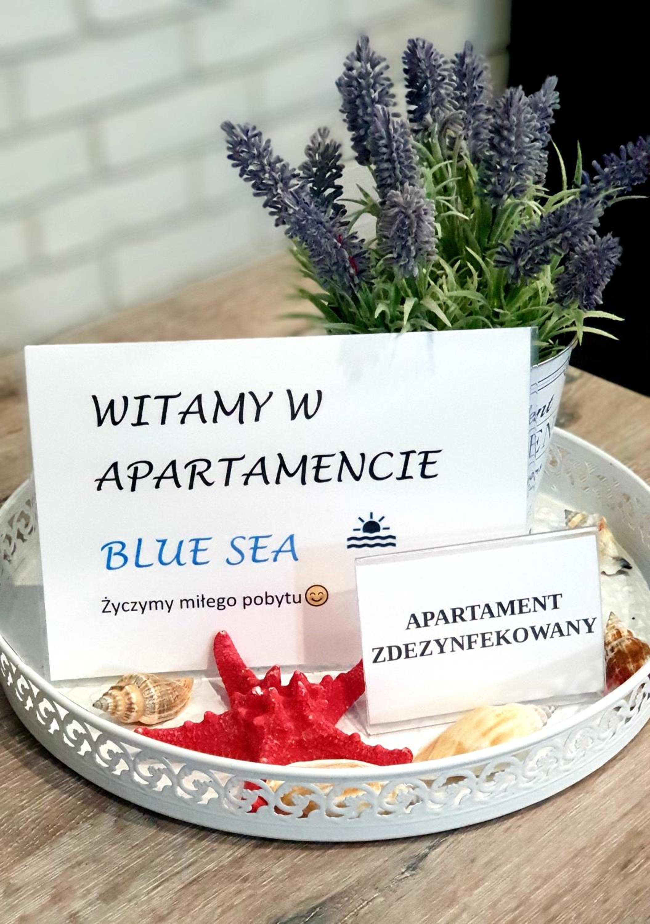 BLUE SEA APARTAMENT Leśne Tarasy view 2