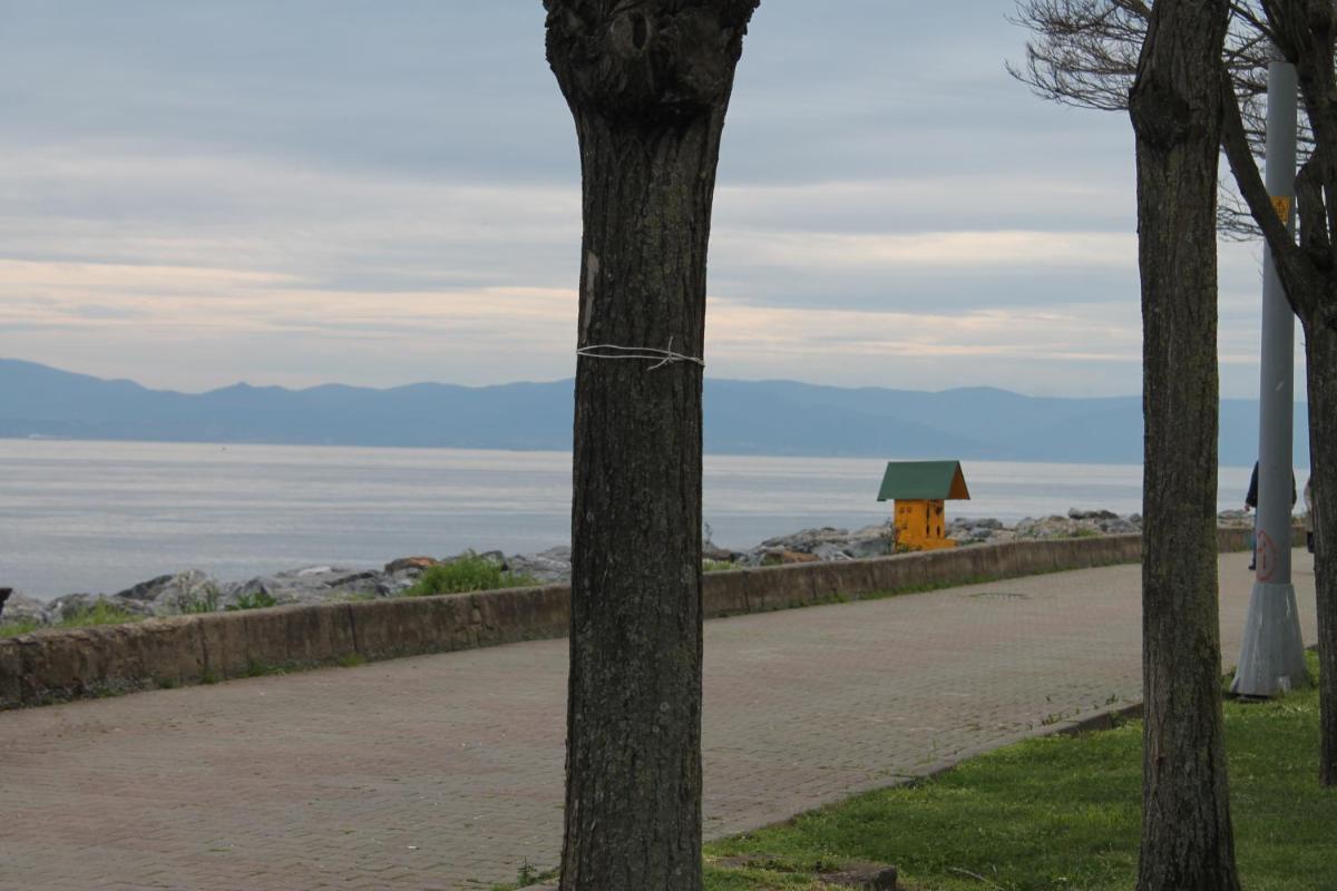 children's play area