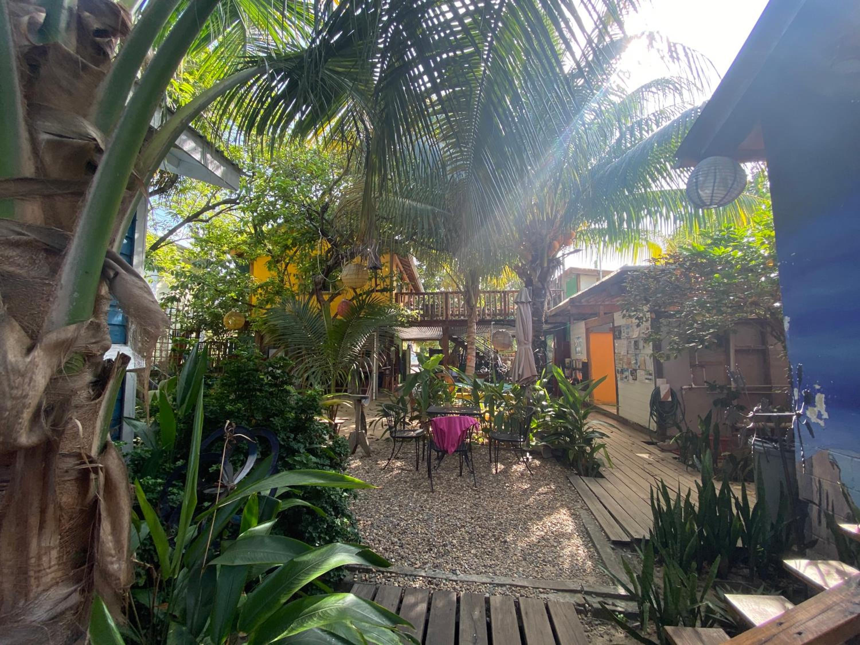 The Funky Dodo Backpackers Hostel