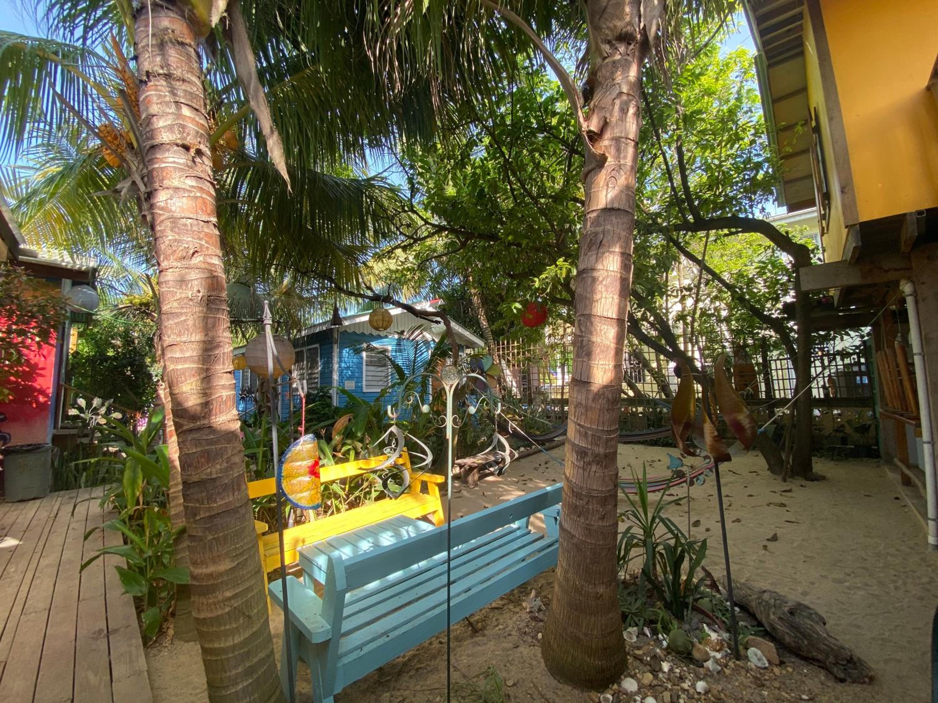 The Funky Dodo Backpackers Hostel