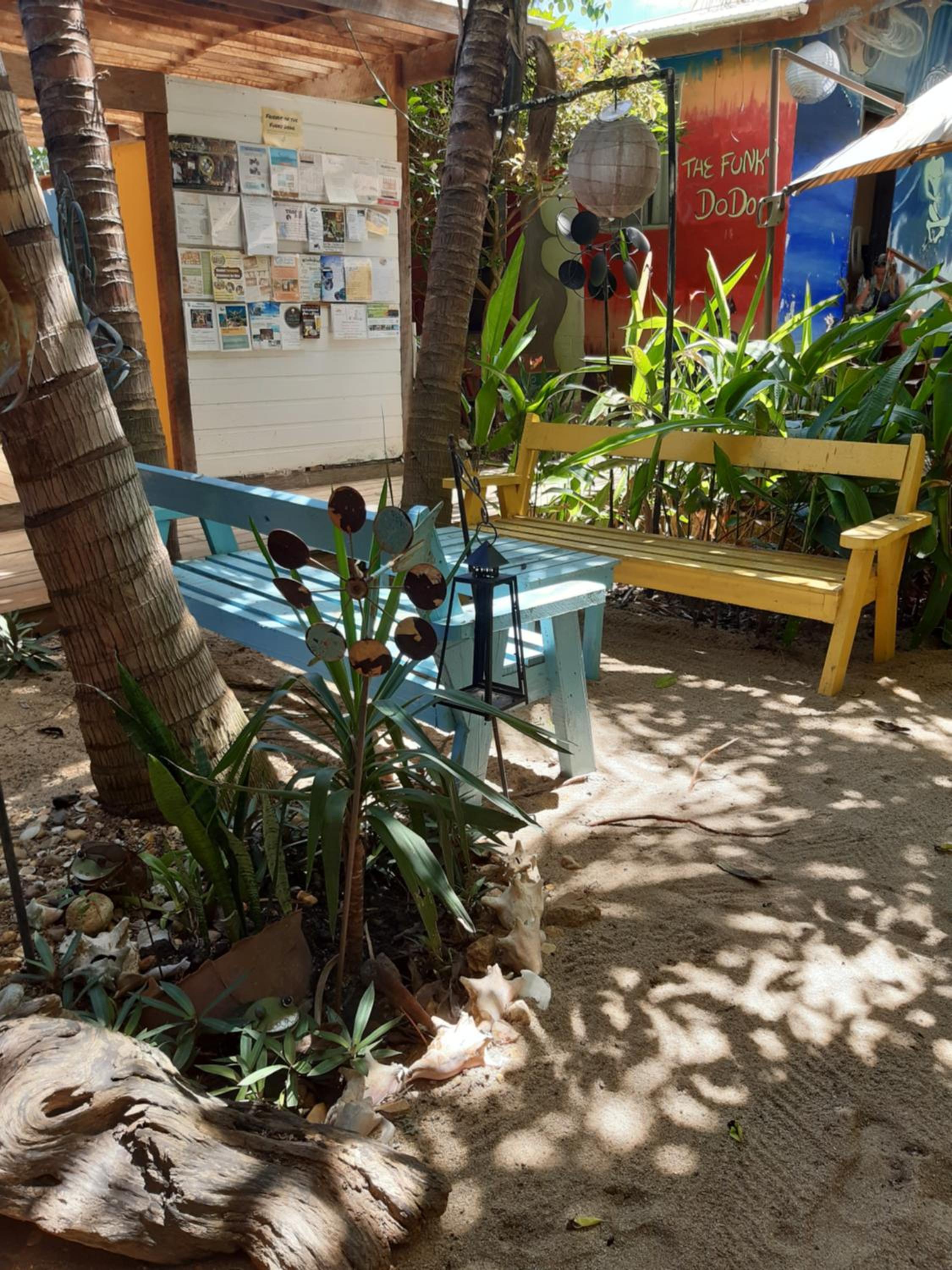 The Funky Dodo Backpackers Hostel