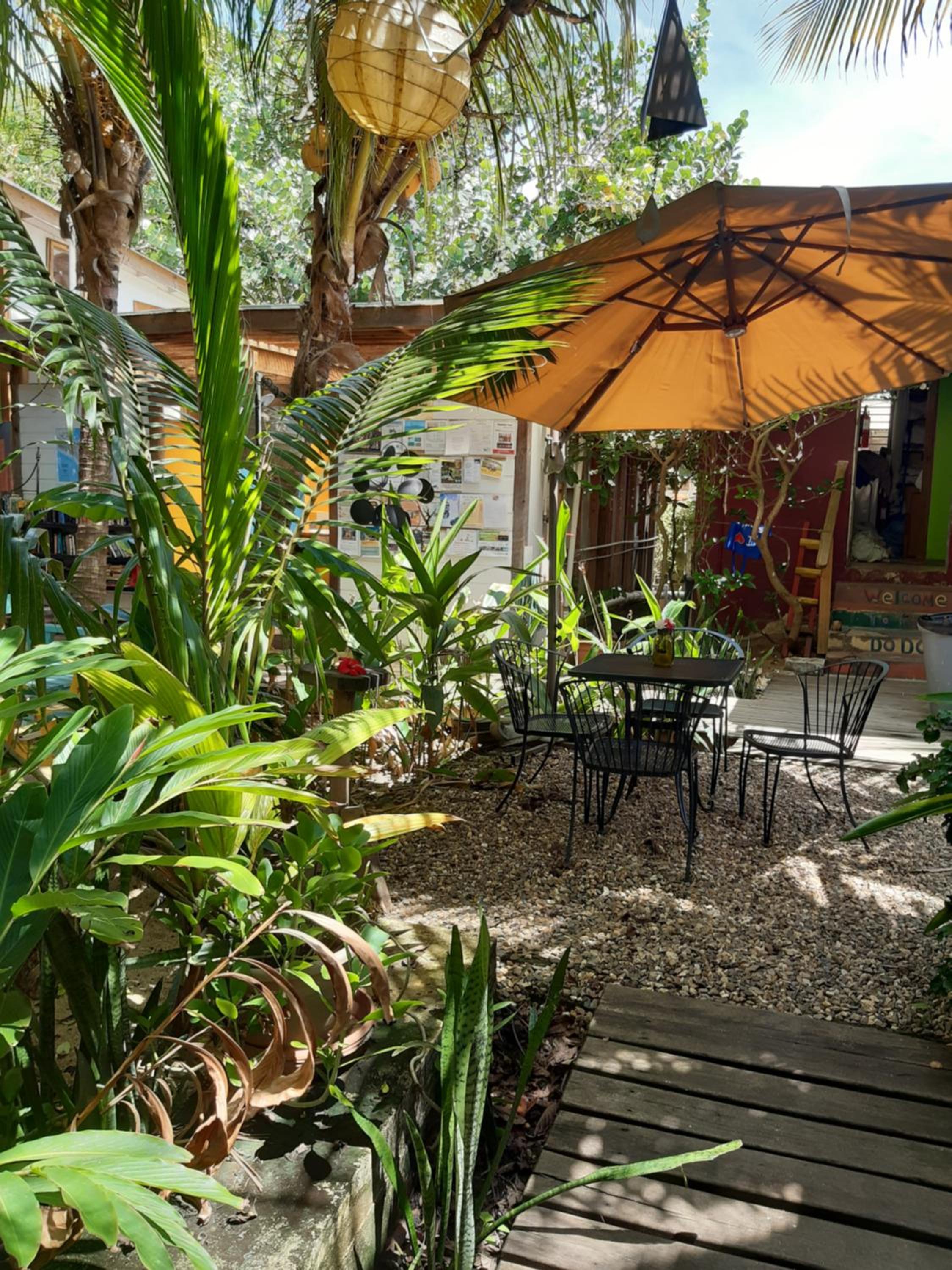 The Funky Dodo Backpackers Hostel