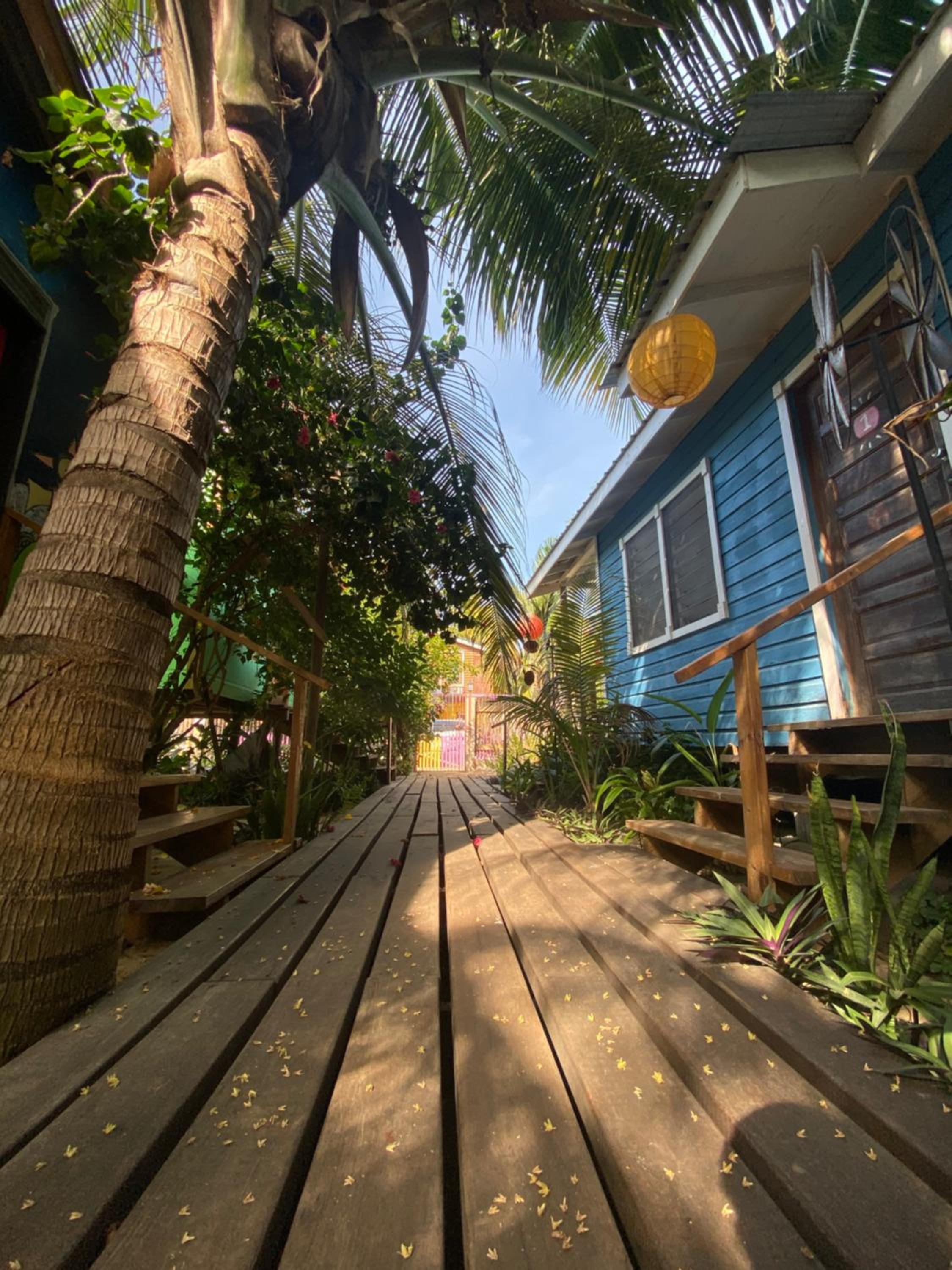 The Funky Dodo Backpackers Hostel