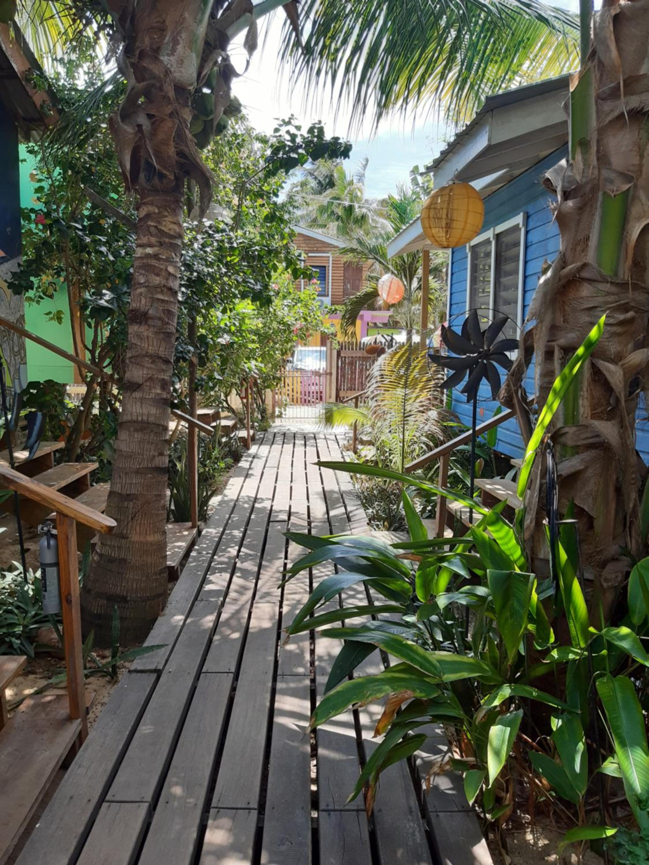 The Funky Dodo Backpackers Hostel