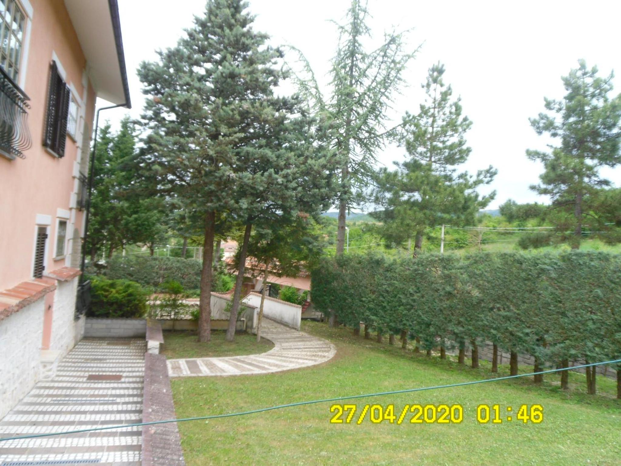 Photo 38