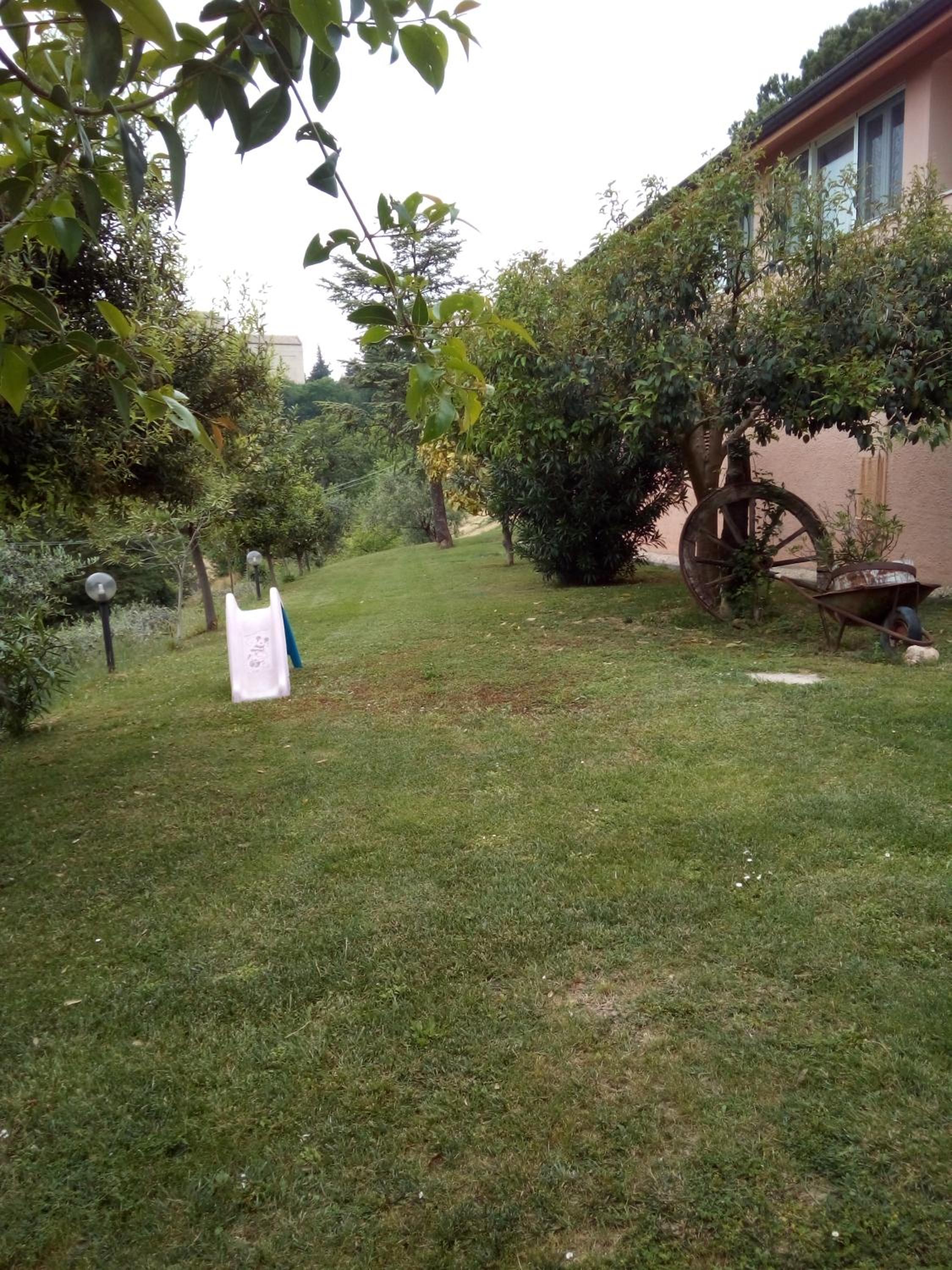 Photo 30
