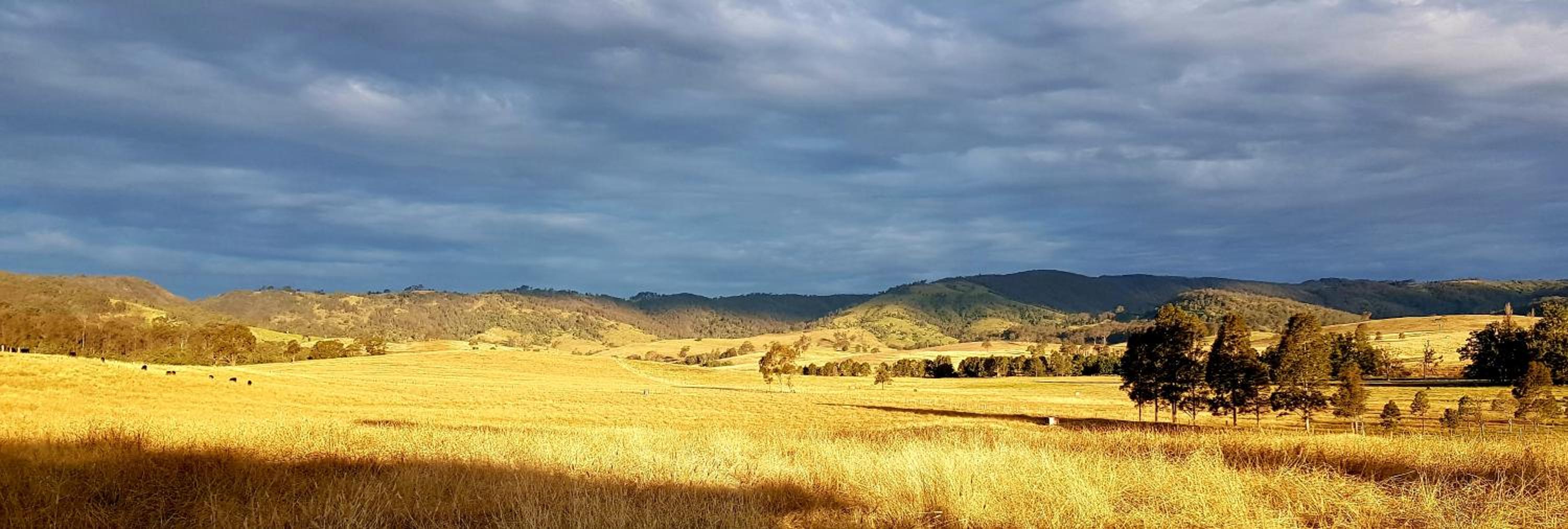 The Wattle Lodge