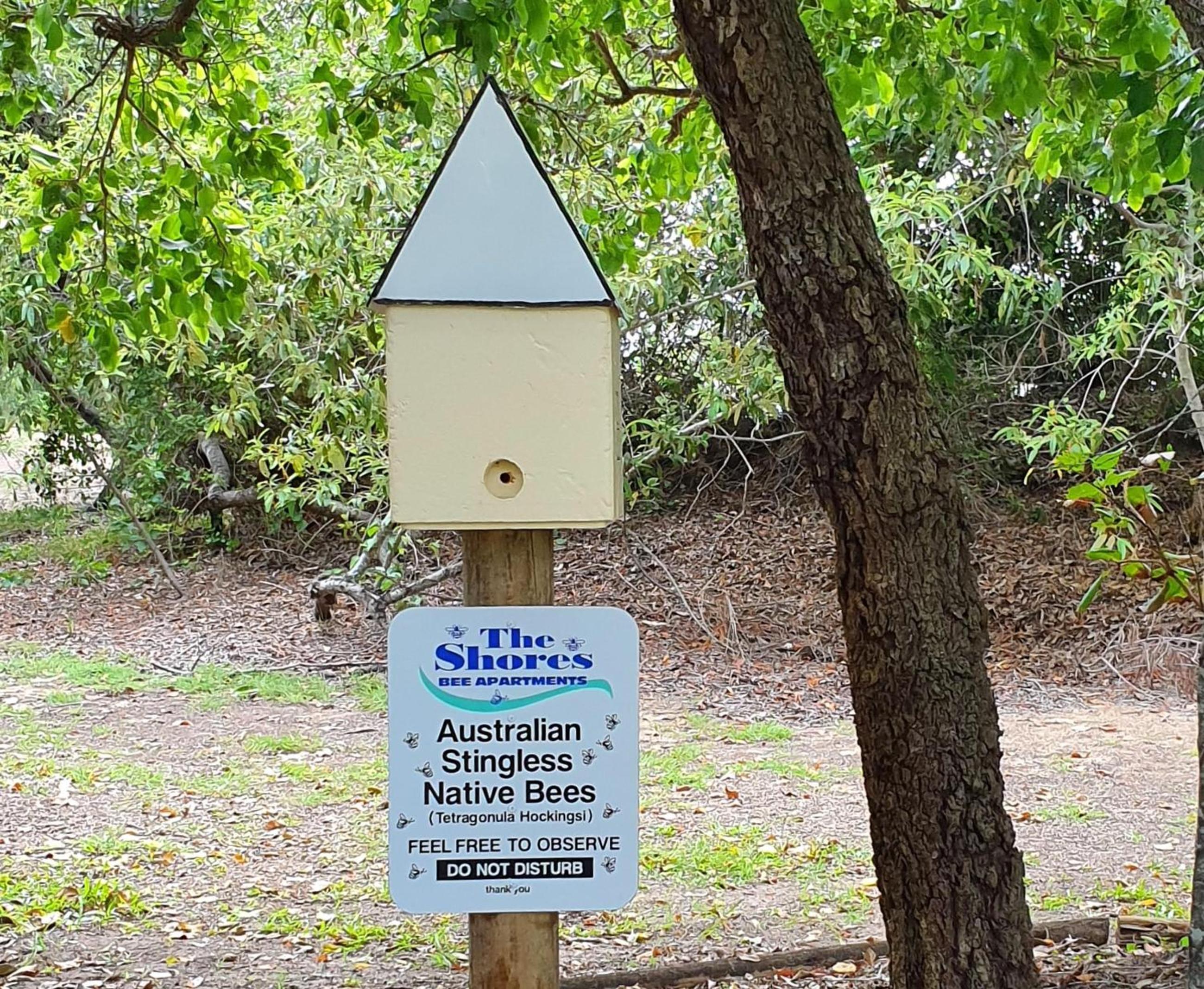 The Shores Holiday Apartments