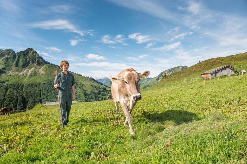 Ferienwohnungen Schantl
