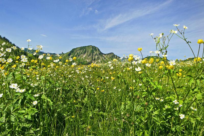 Ferienwohnungen Schantl