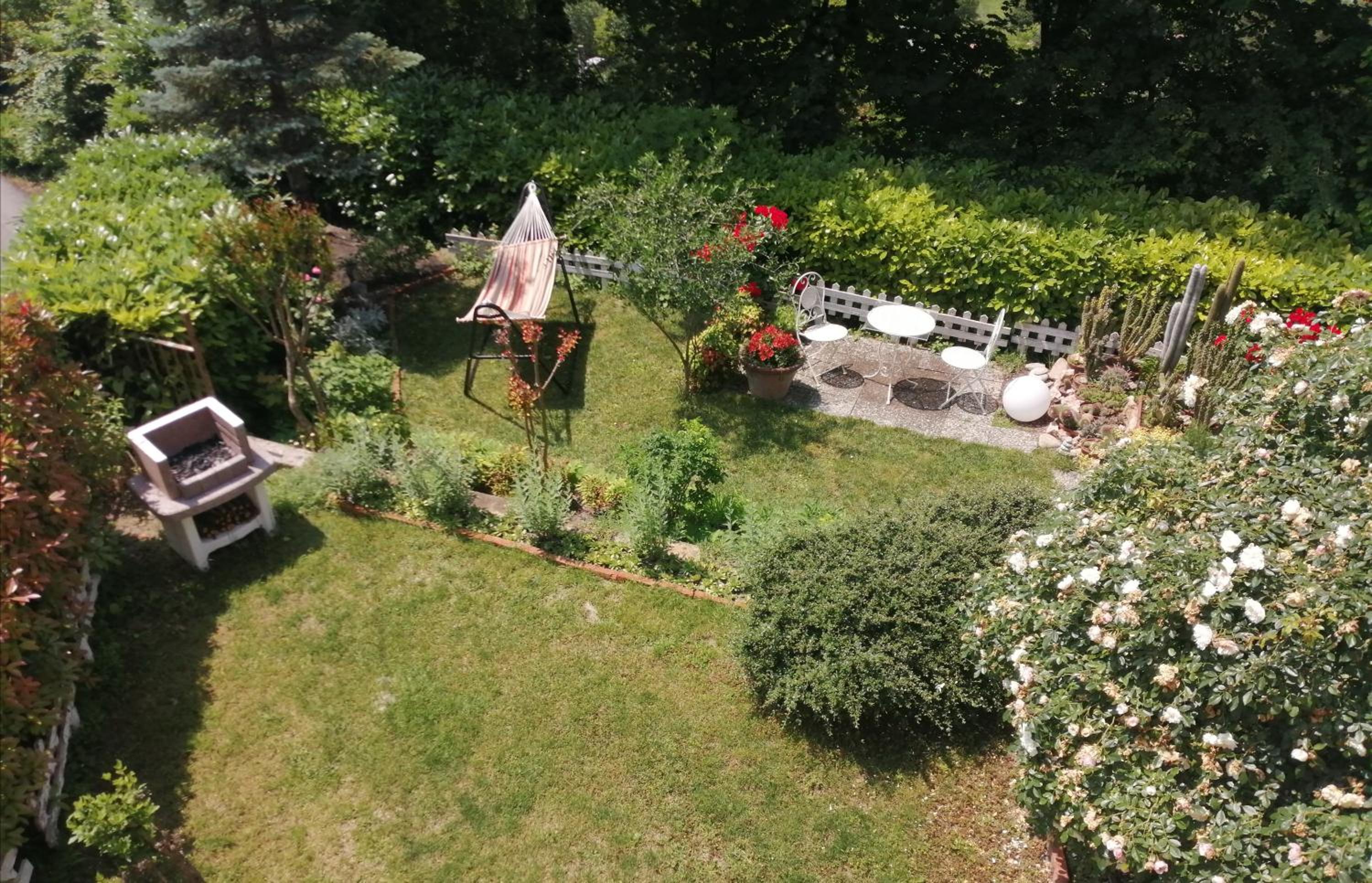 Photo 40