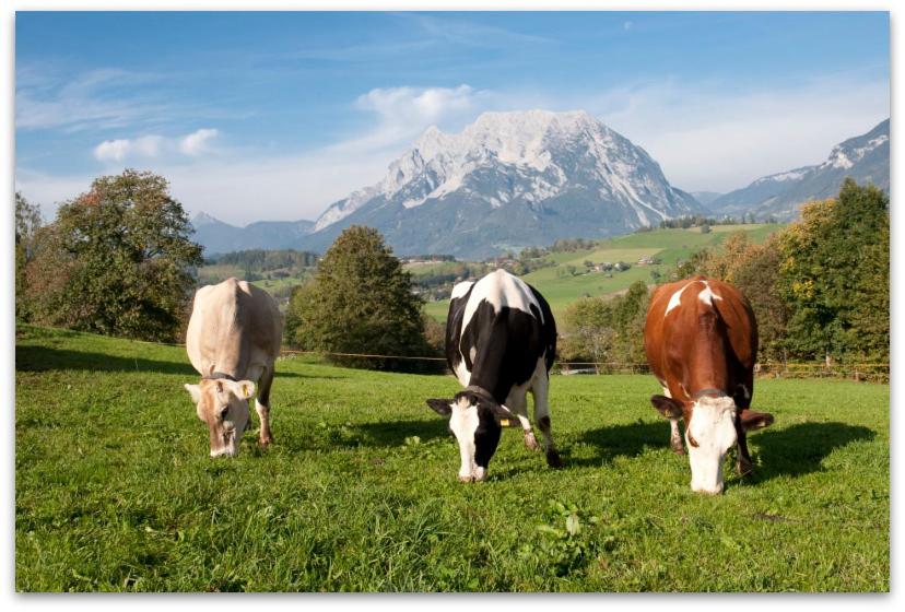 Hüttstädterhof Familie Pötsch