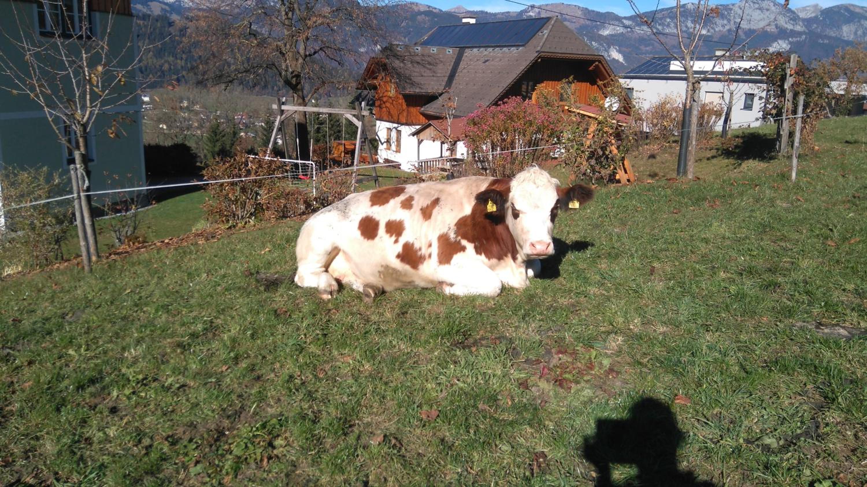 Hüttstädterhof Familie Pötsch
