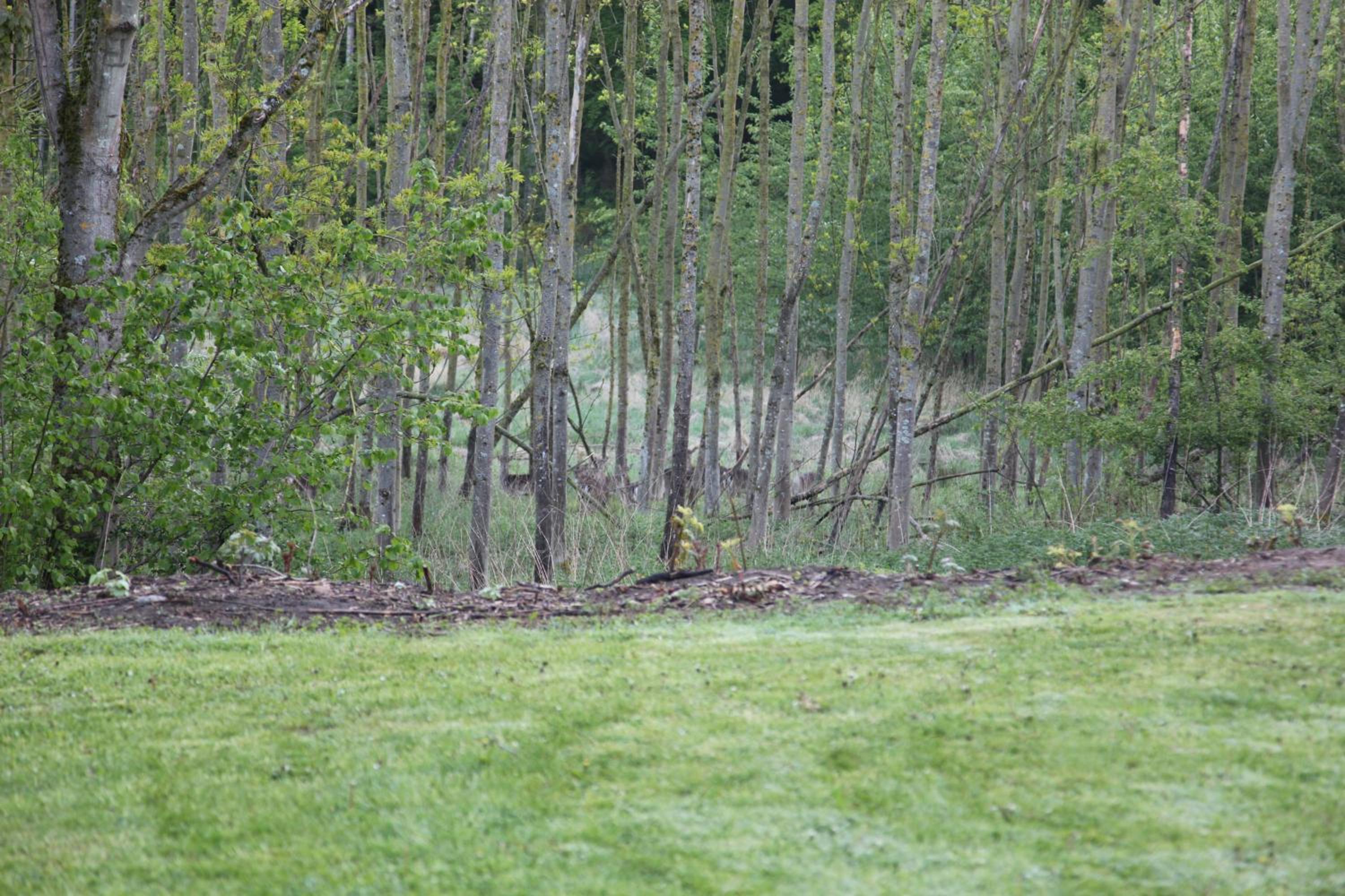 Chalet Forsthof Everstorf
