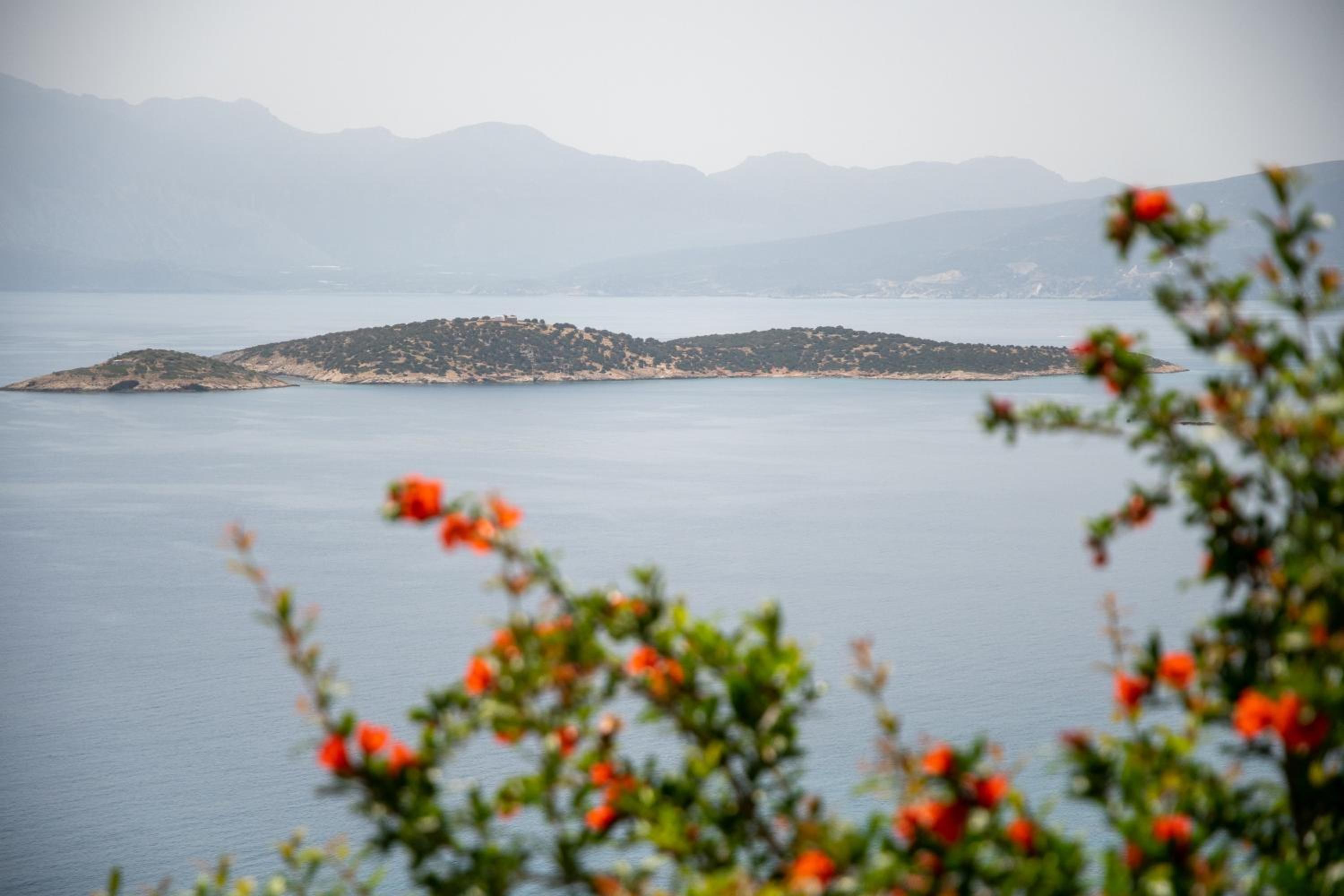 Photo 29