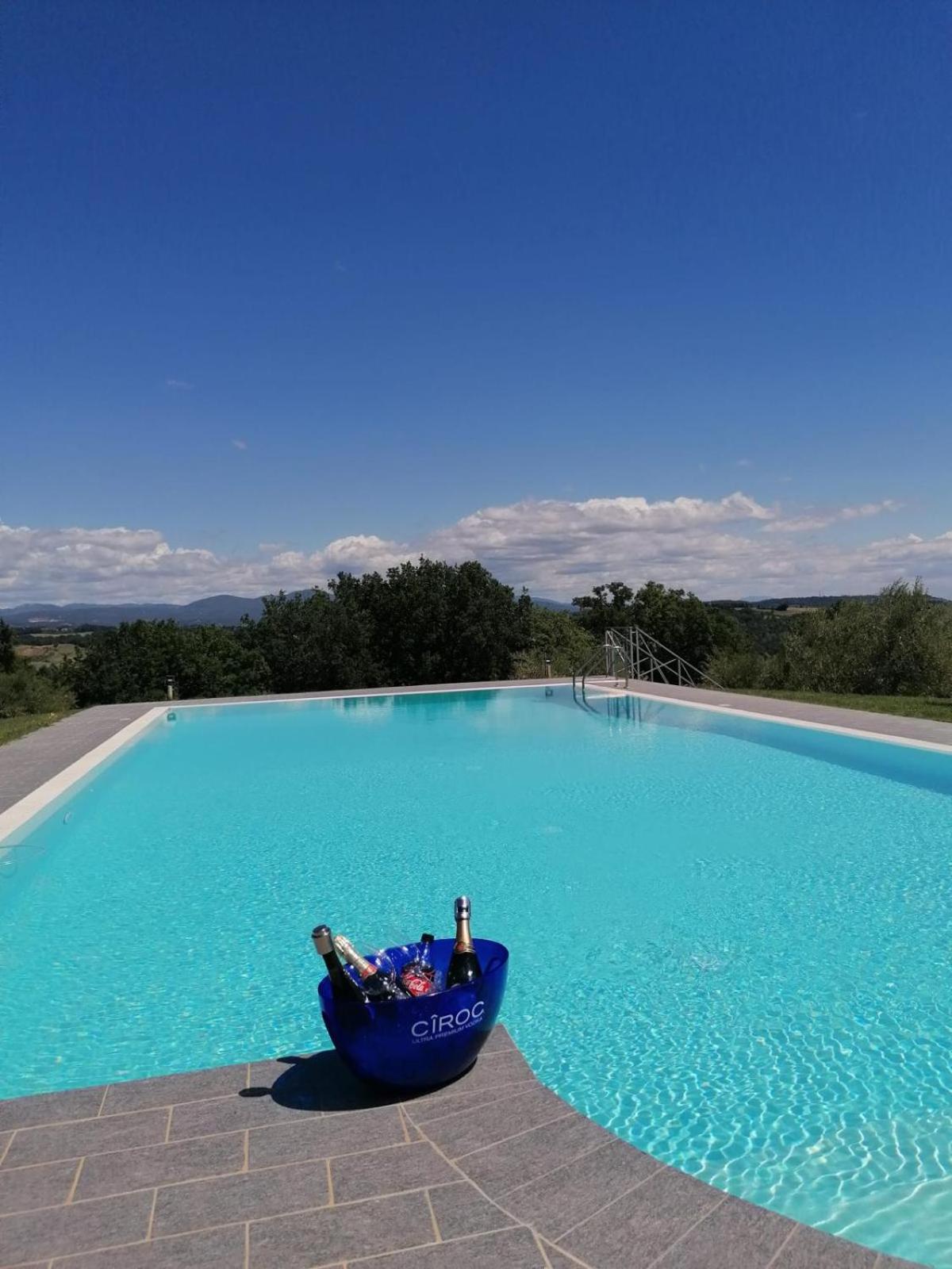 Umbria Luxury Villa Pool&OliveTrees view 5