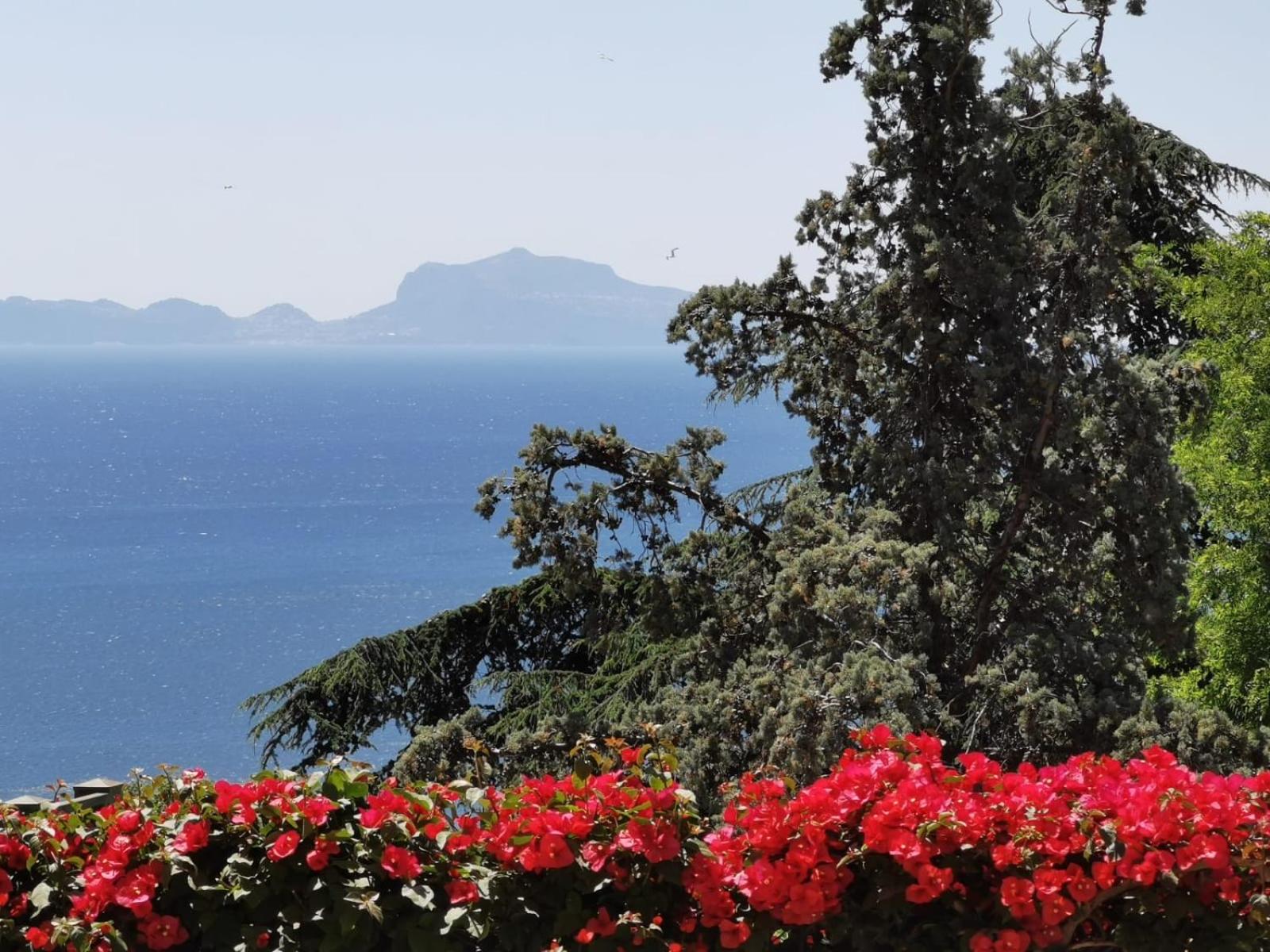 Vomero Guest House