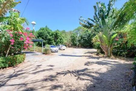 Palm Village