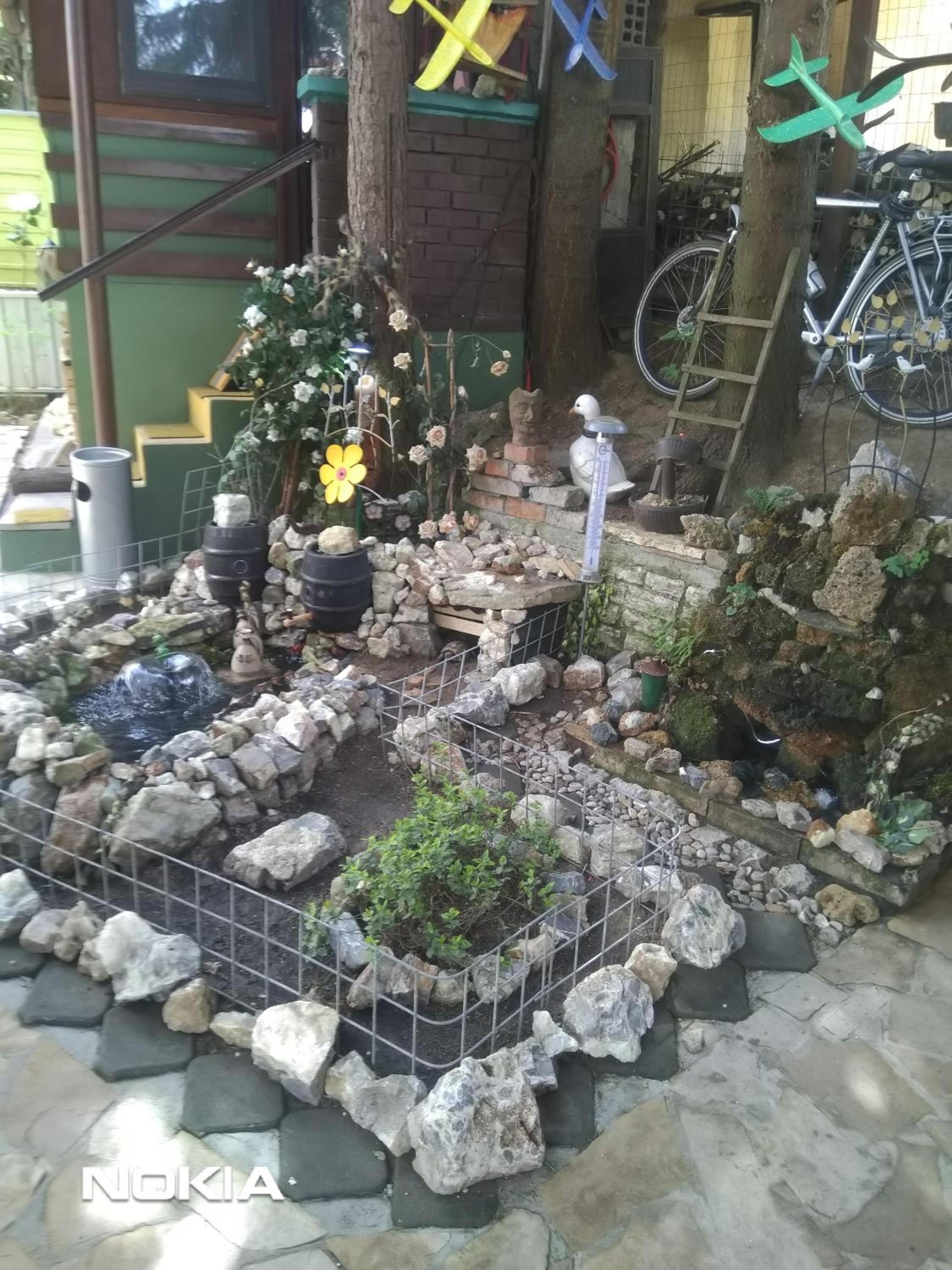 Photo 11