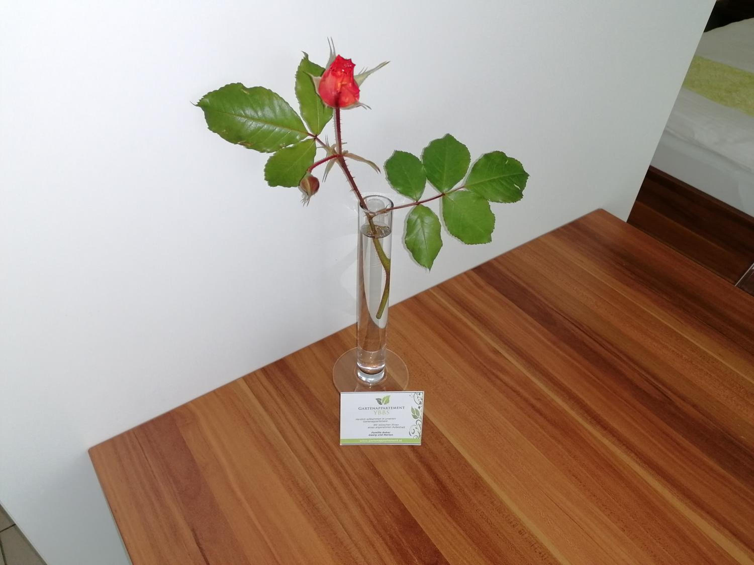 Gartenappartement Ybbs