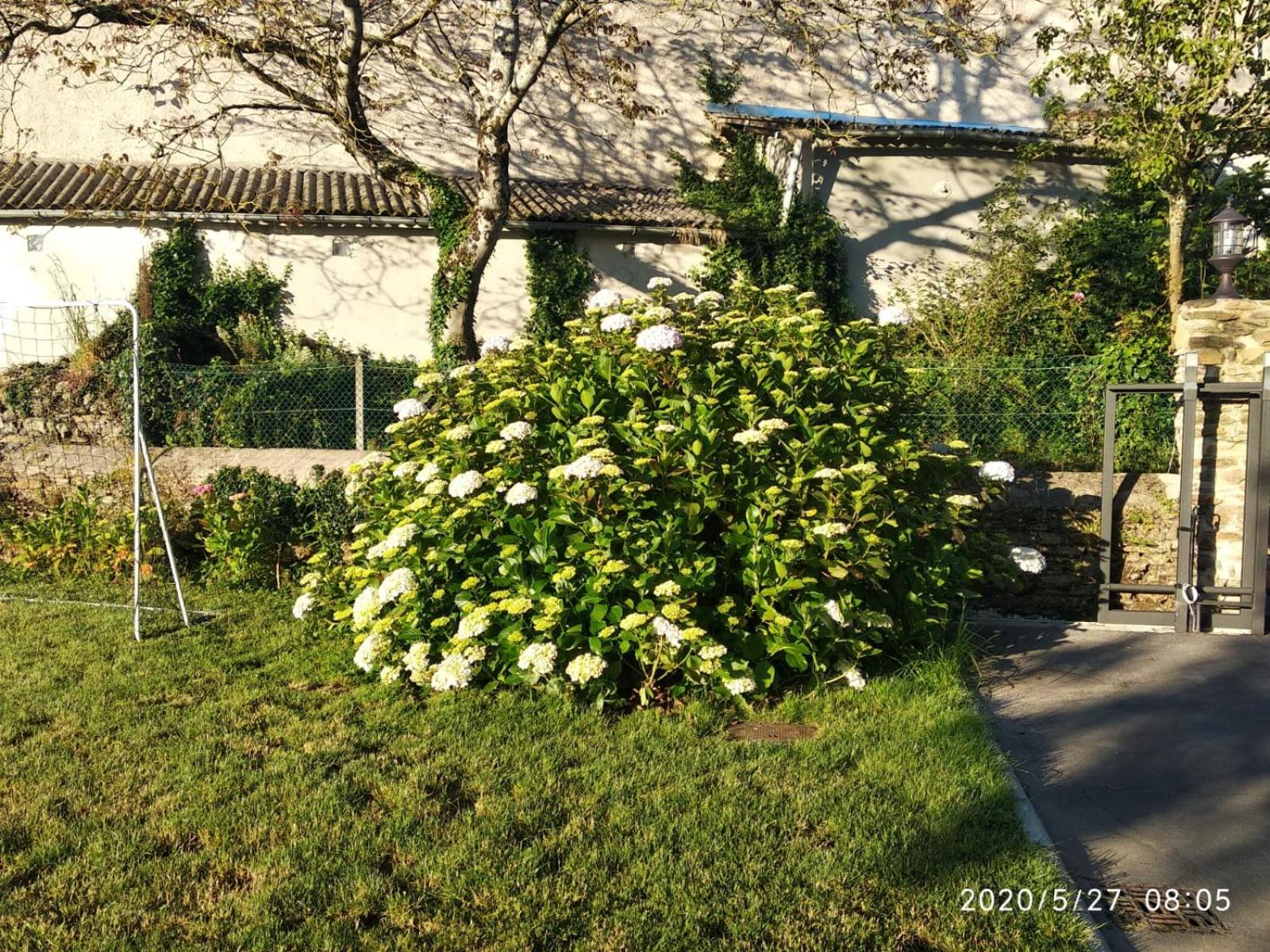 Photo 40