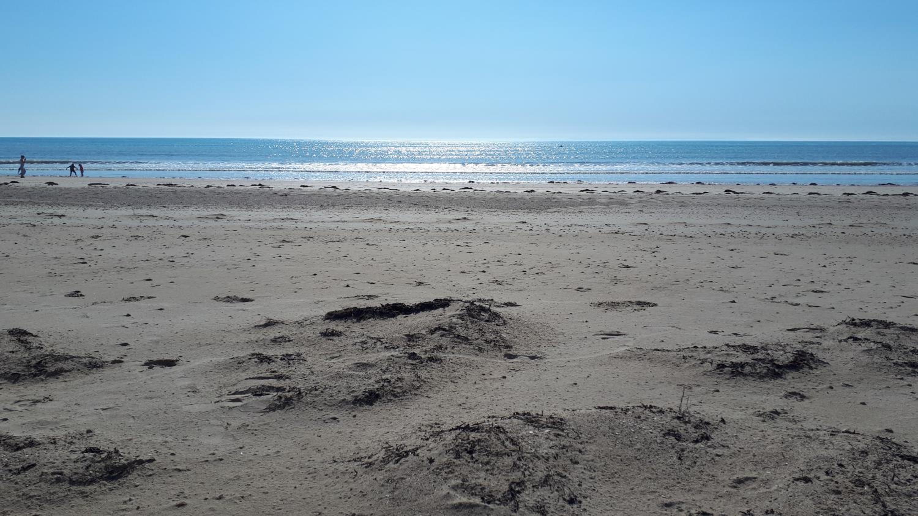 Photo 42