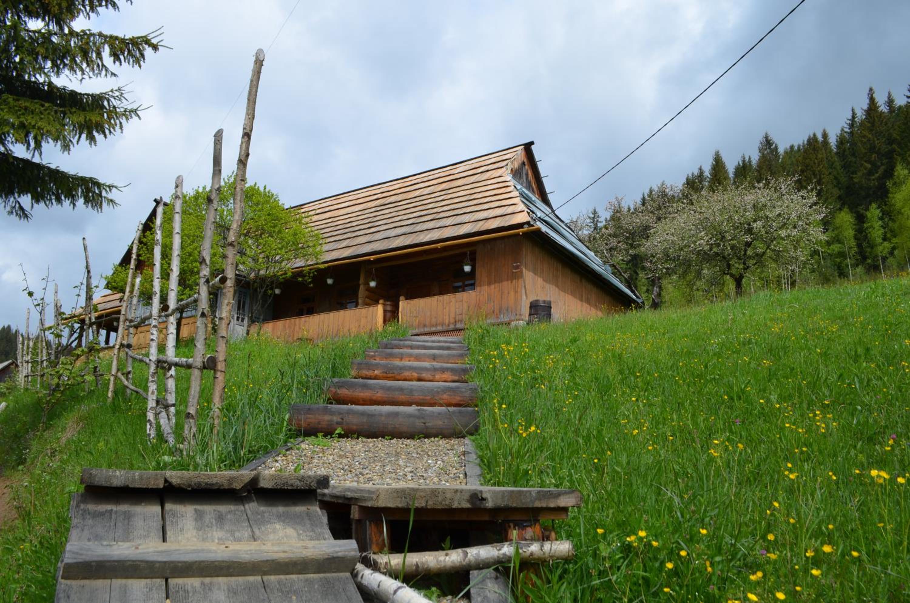 Photo 22
