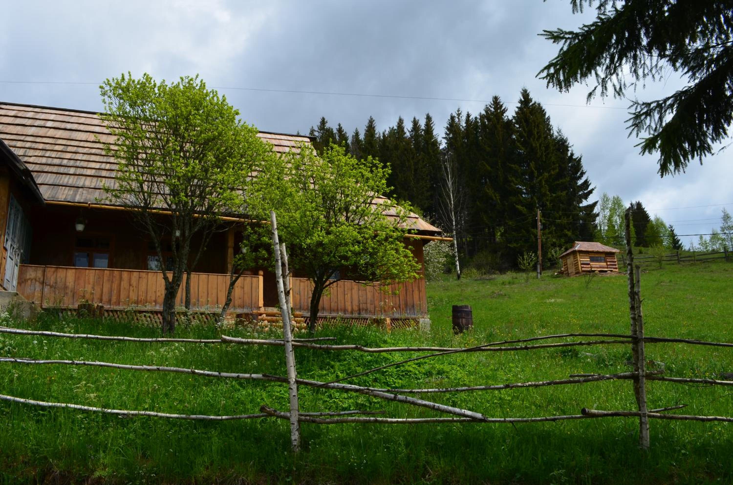 Photo 20