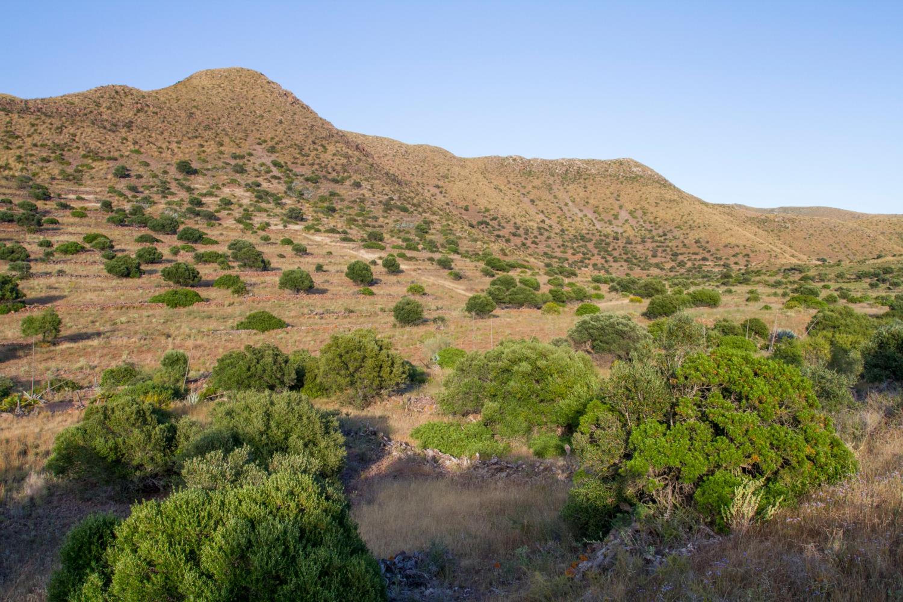 Casas Rurales La Minilla view 3