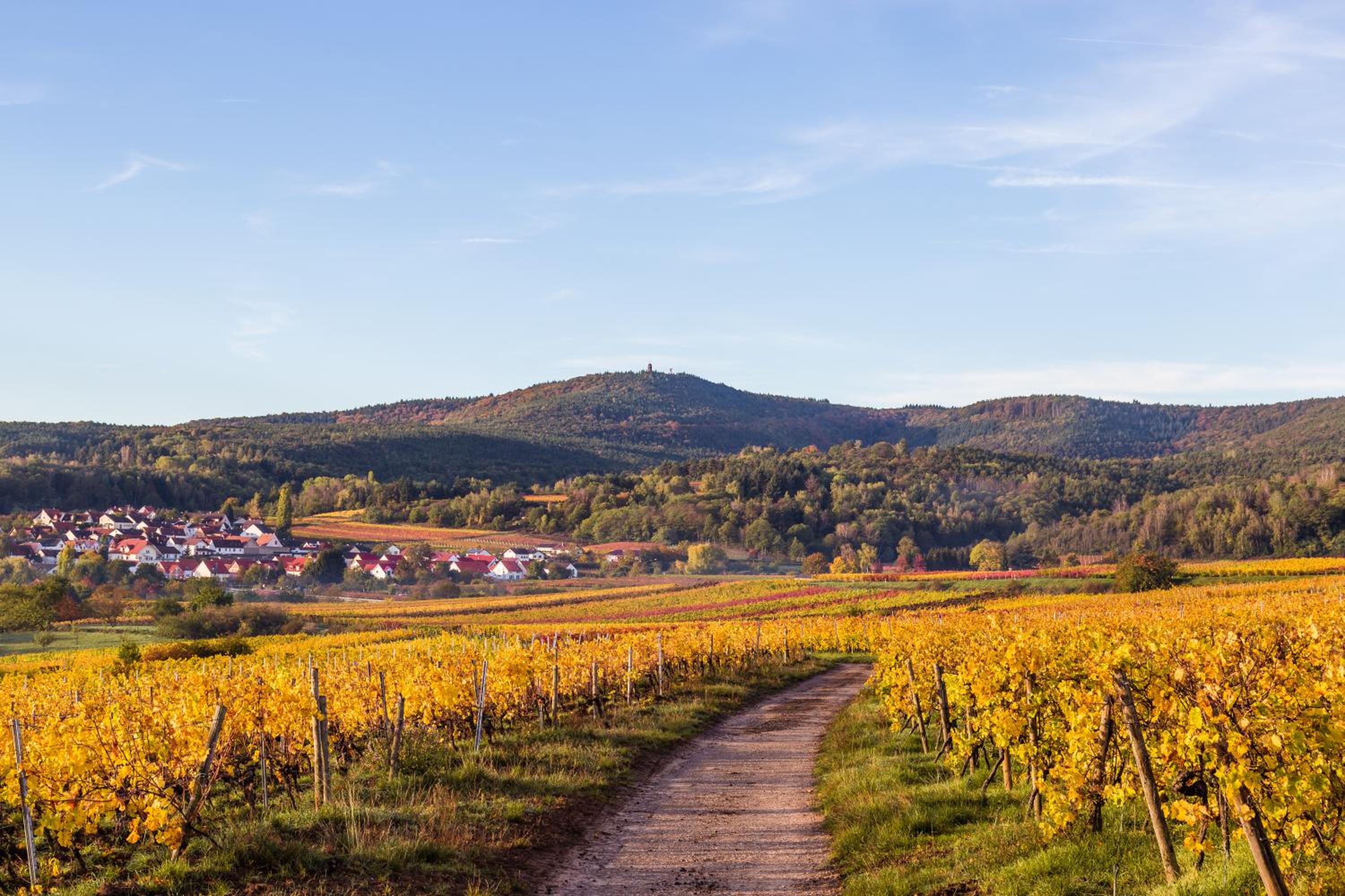 Vinotel Weinstrasse