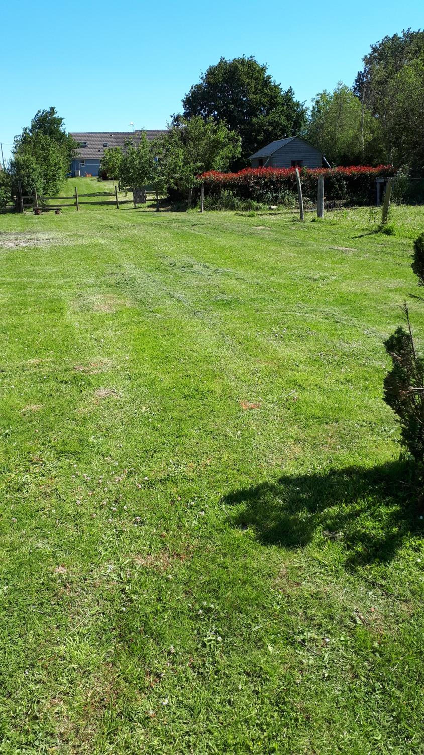 Photo 28