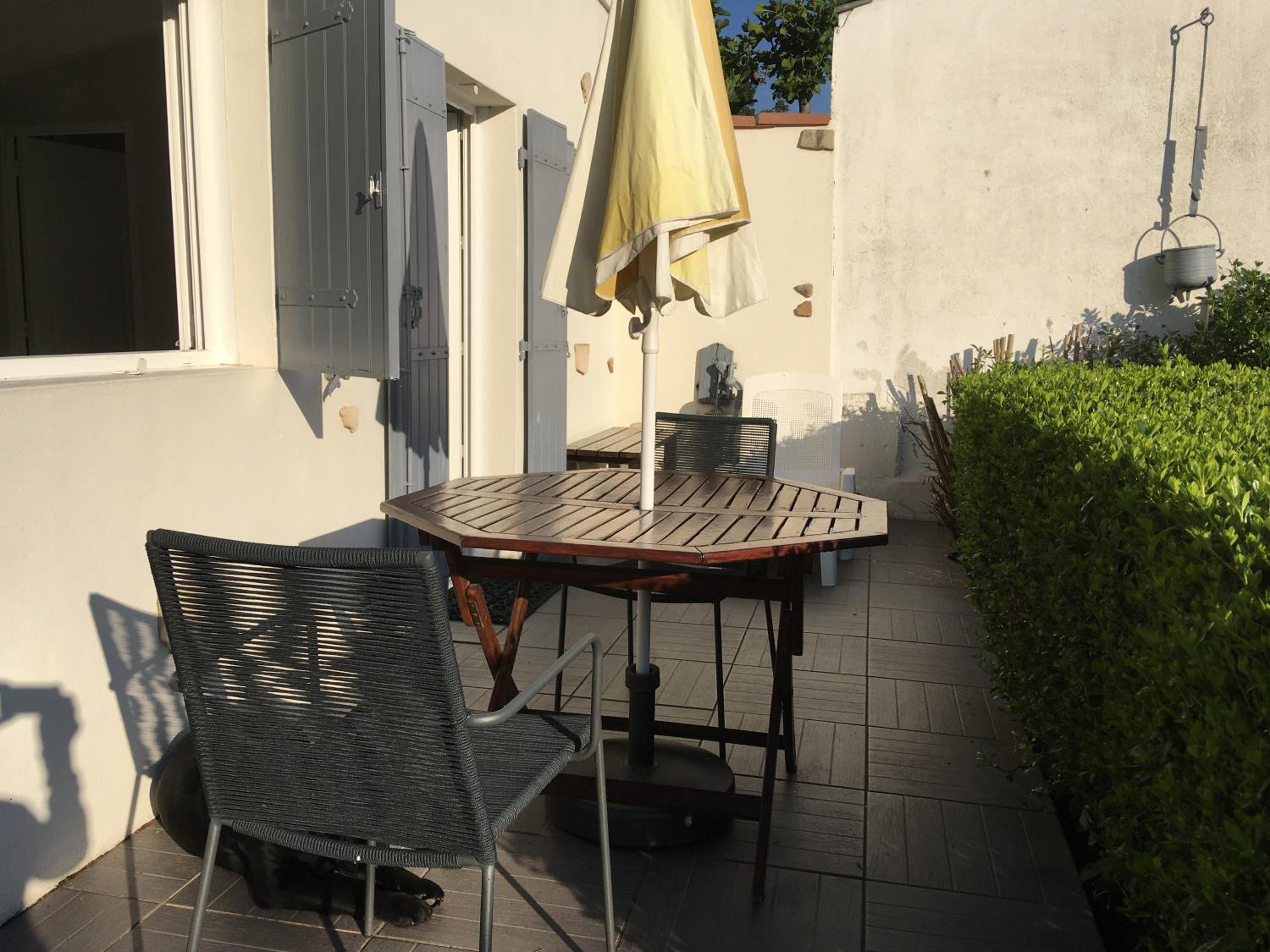 Photo 6