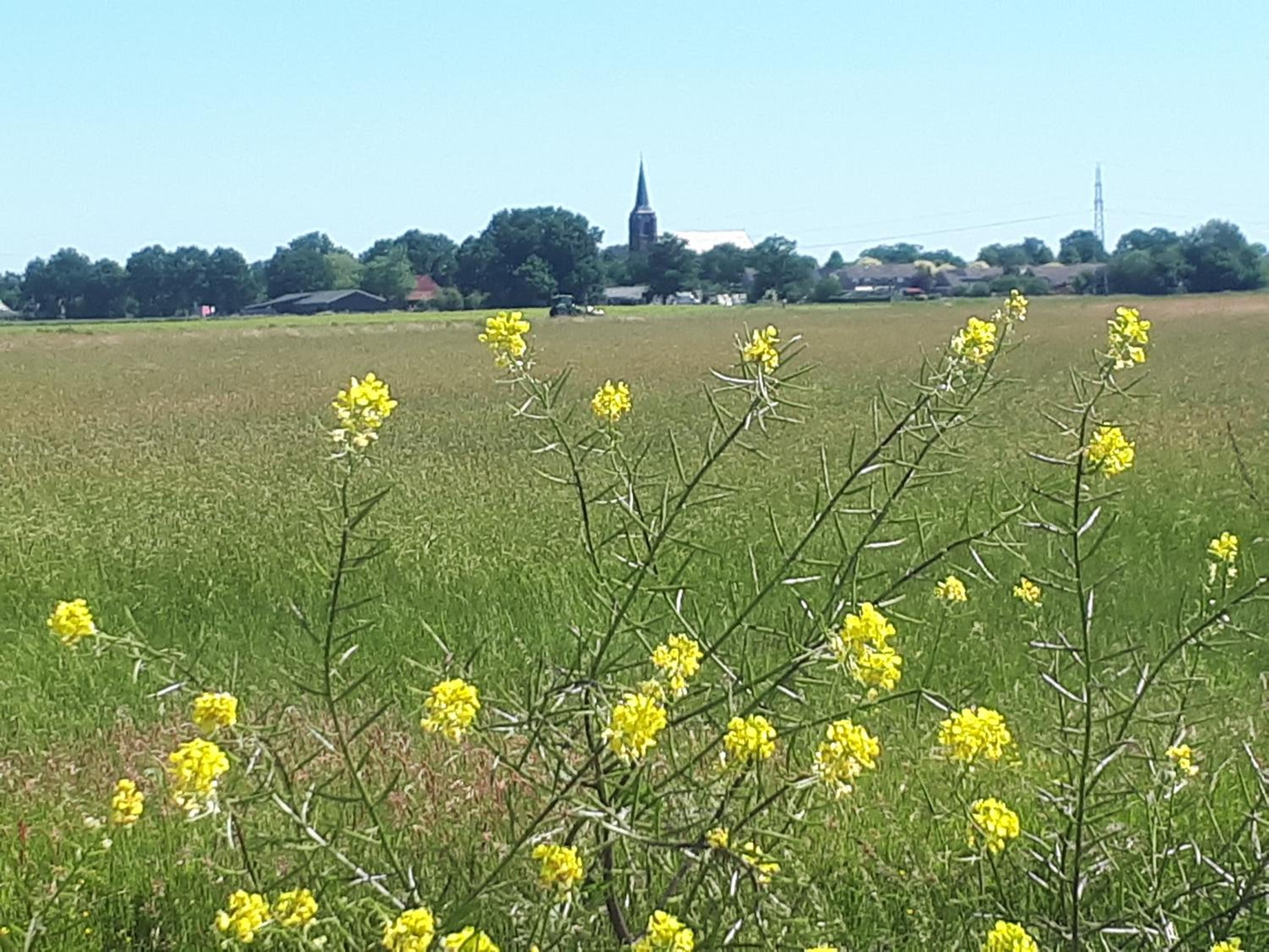 B&B 't Lierderholt view 5