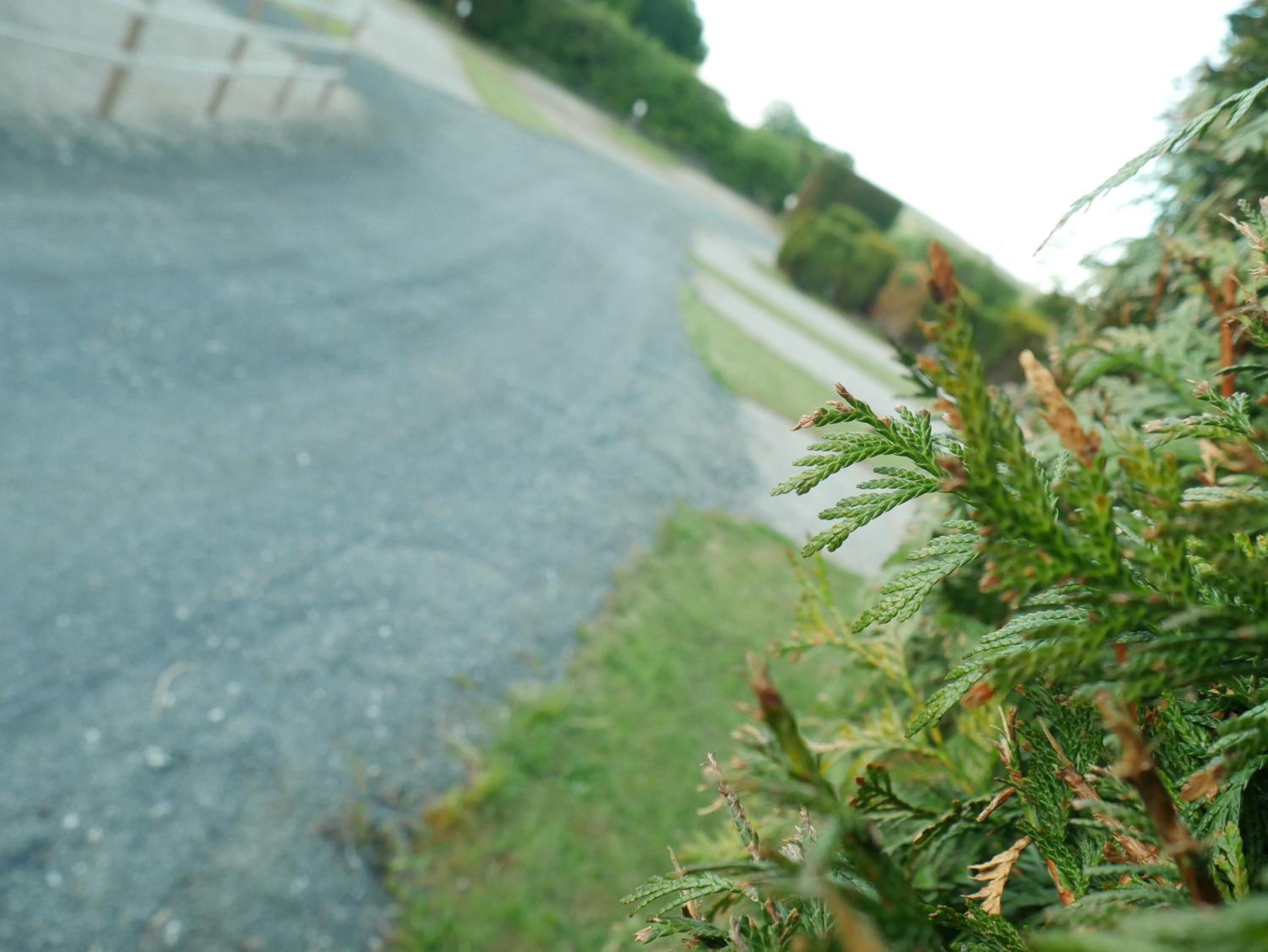 Photo 32