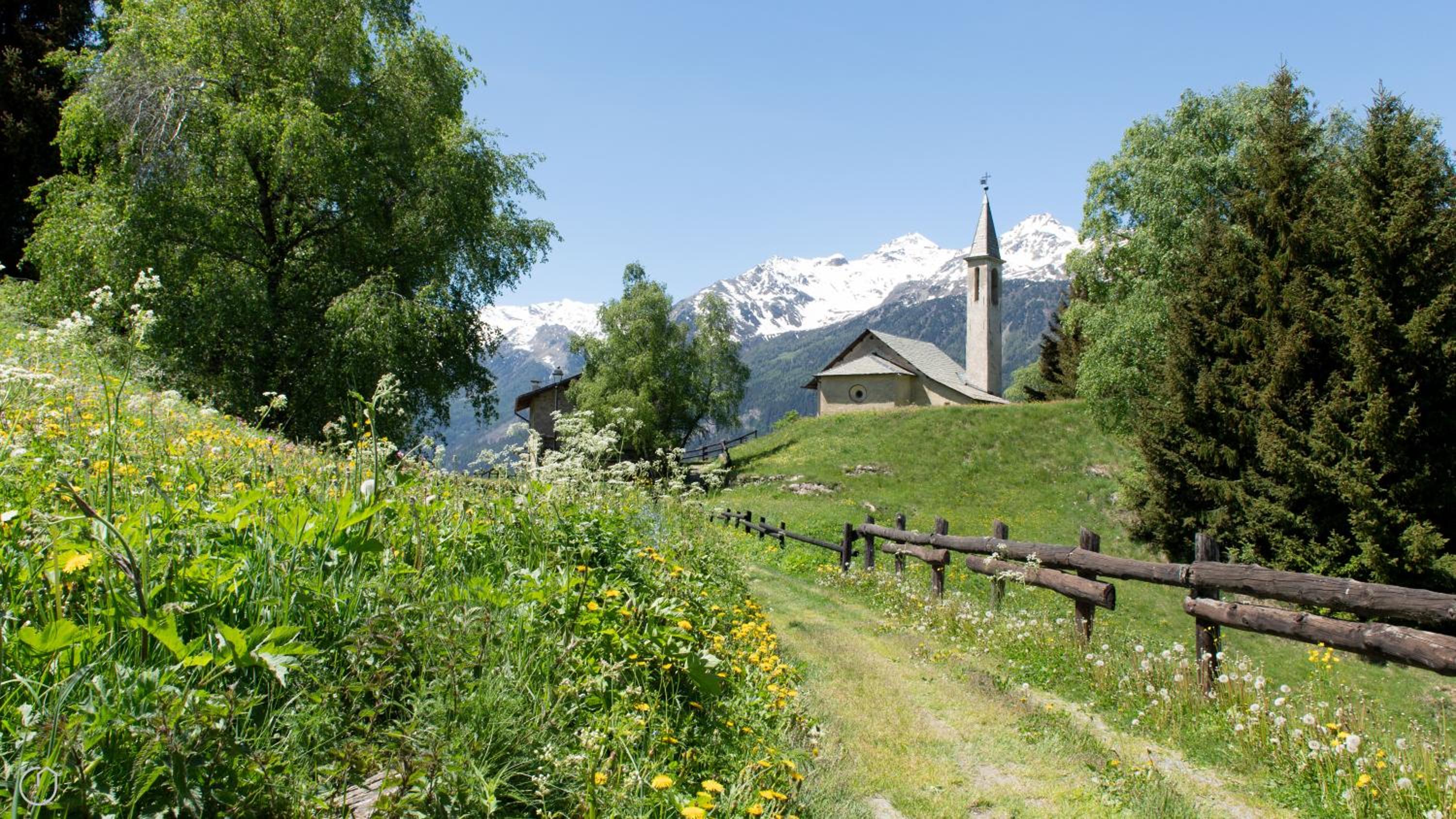 Photo 20