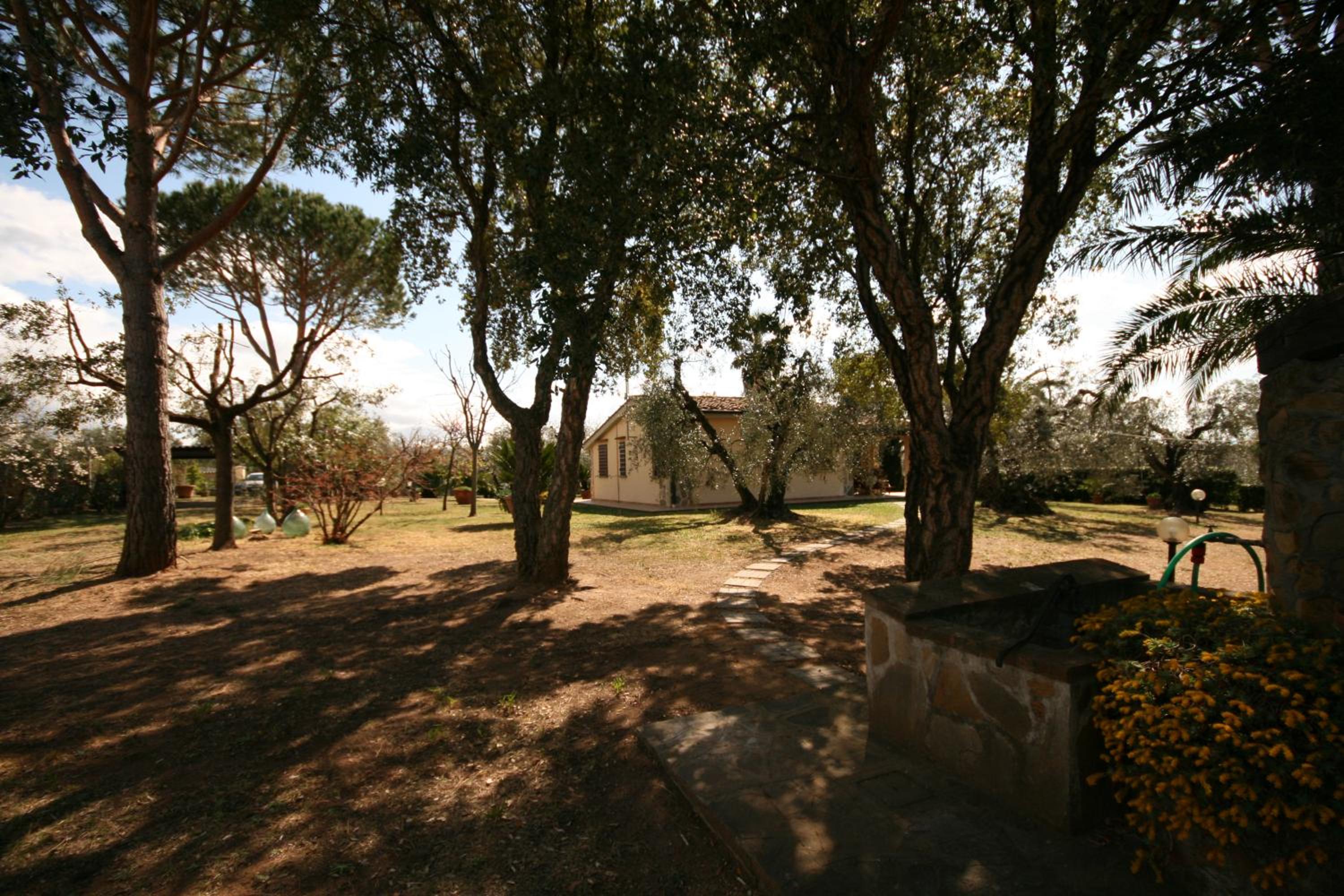 Casetta sulla Bolgherese immersa nel Verde view 5