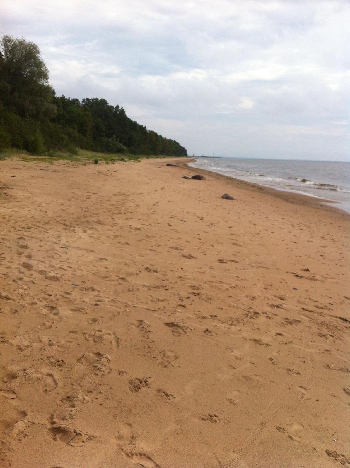 Photo 33