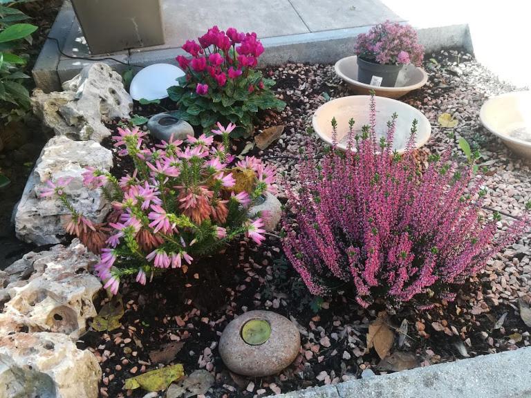 Appunti di Viaggio Room  Breakfast - Property Image 50