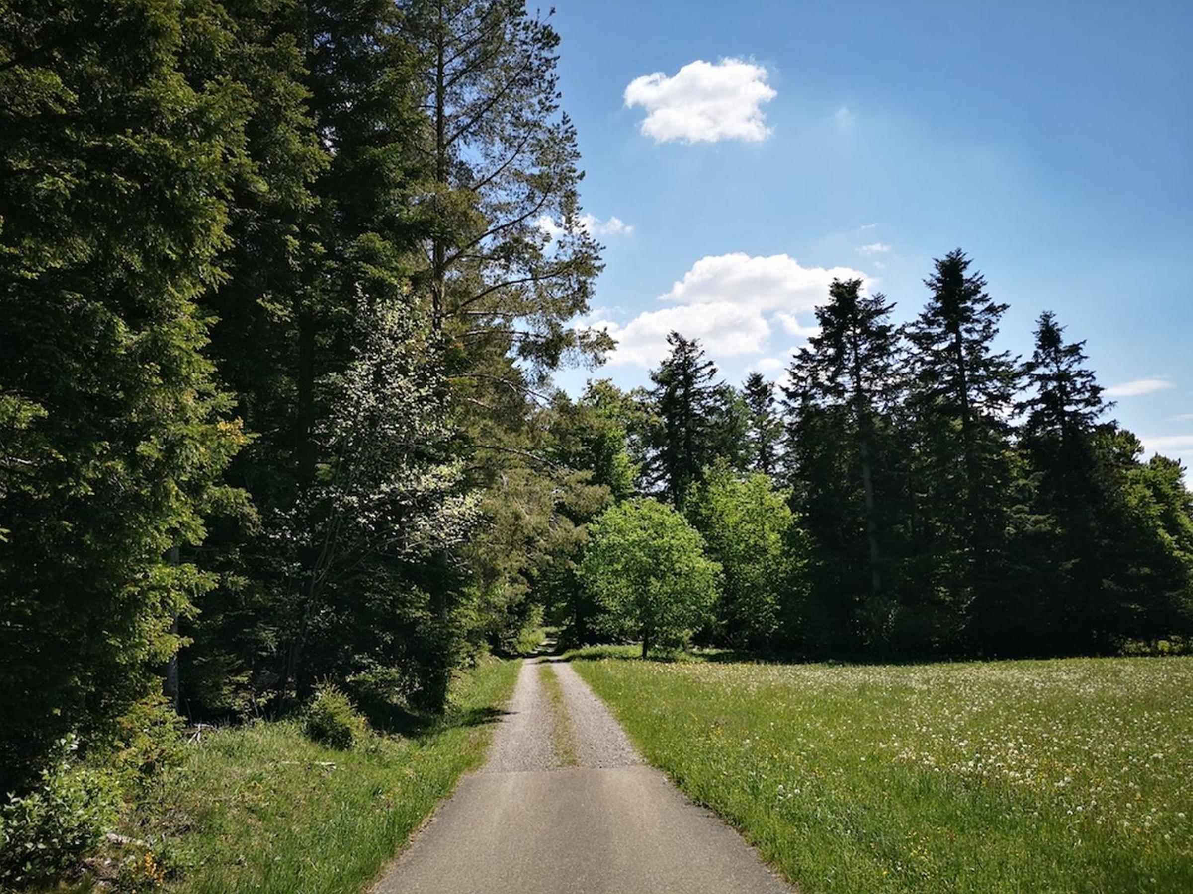 Ferienhaus Nordschwarzwald